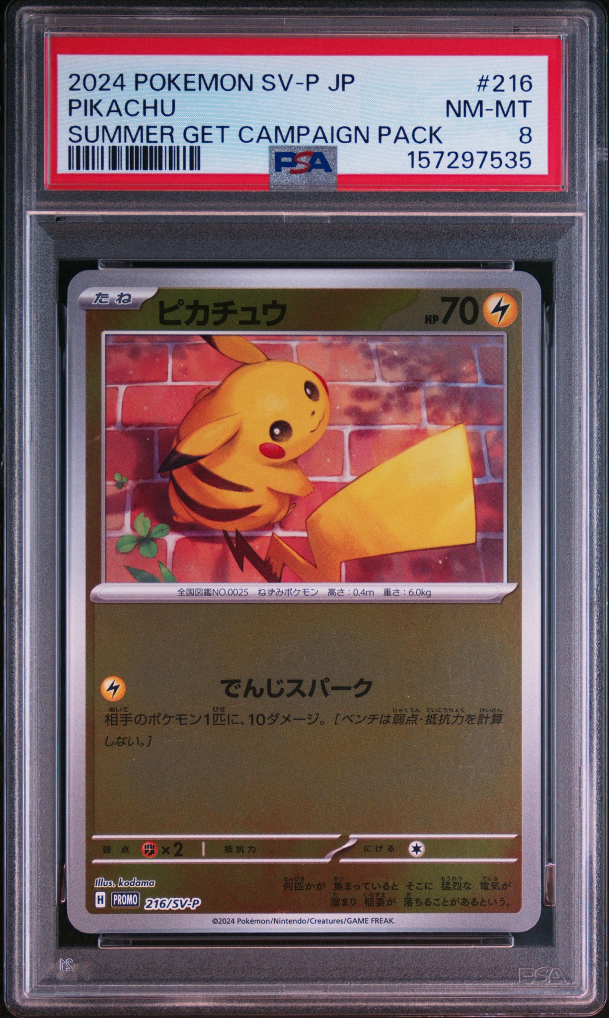 【PSA10】ピカチュウ 216/SV-P ポケカの夏がキタ! プロモ PSA10】ピカチュウ P [SV-P 216](プロモカードパック「ポケカの夏が