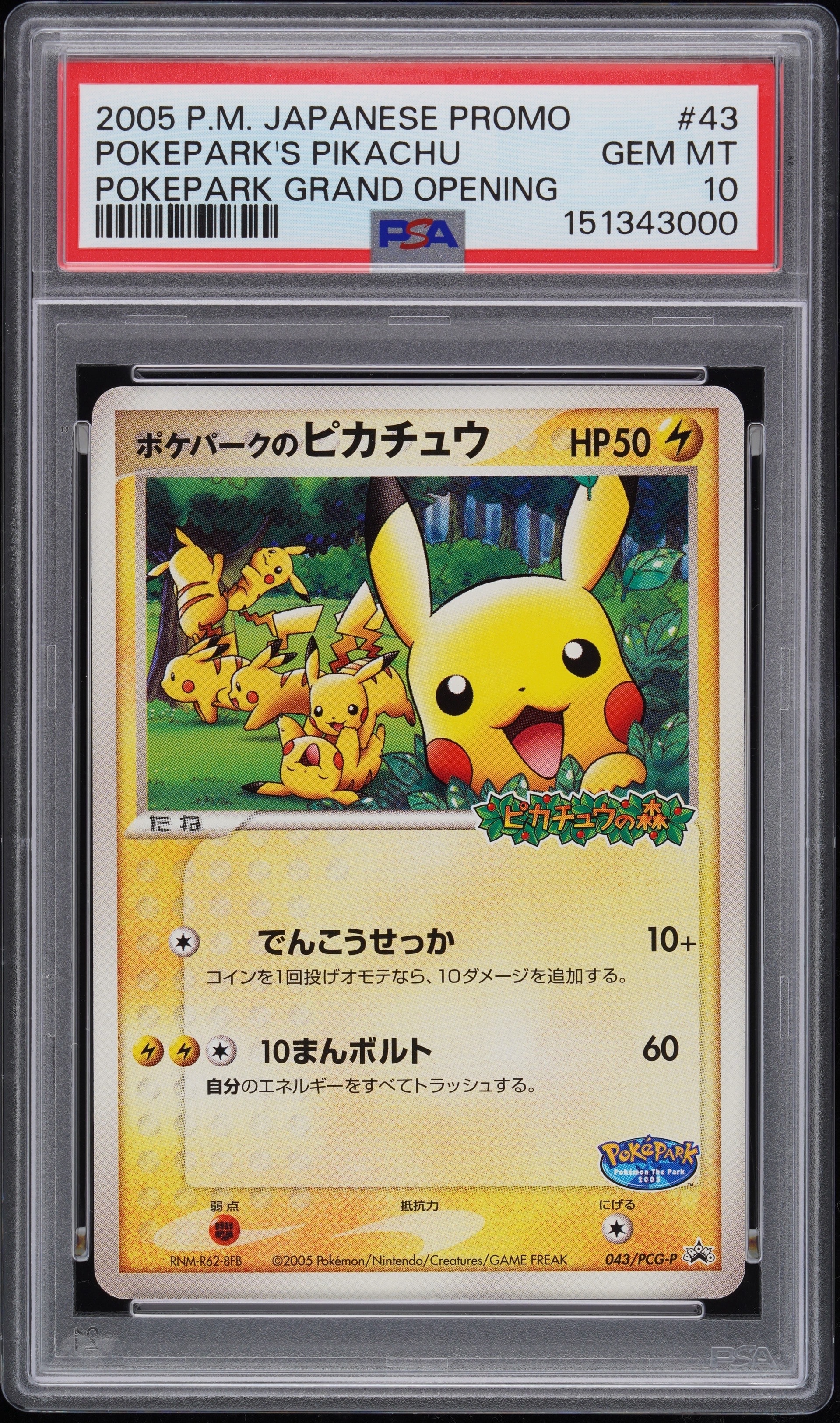 ポケパークのピカチュウ P [PCG-P 043](プロモーションカード