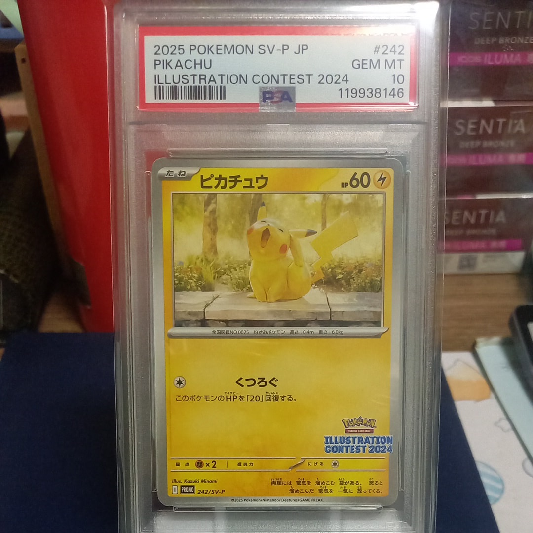 ピカチュウ [SV-P 242](プロモカードパック「イラストレーションコンテスト 2024 受賞作品プロモカード化記念キャンペーン」)