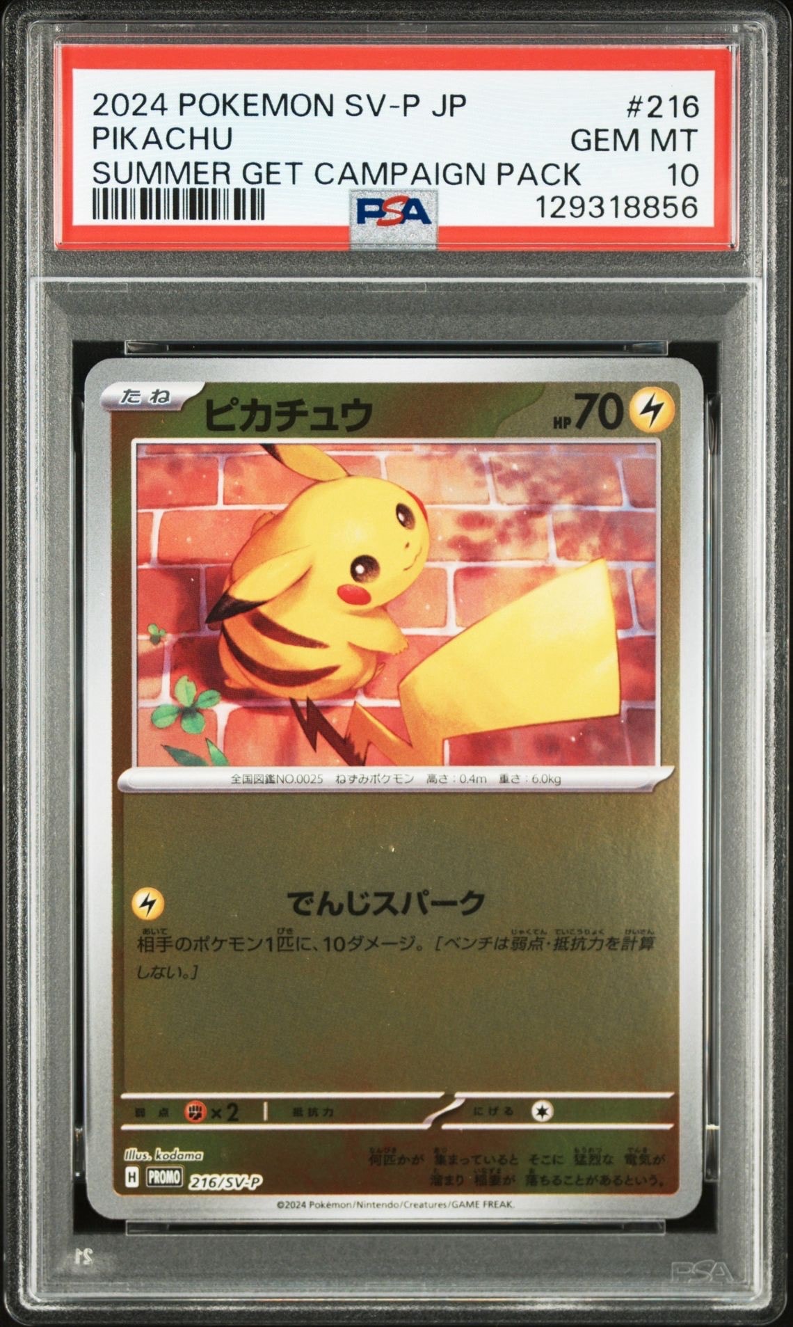 ピカチュウ P [SV-P 216](プロモカードパック「ポケカの夏がキタ!プロモカードGetキャンペーン!」)
