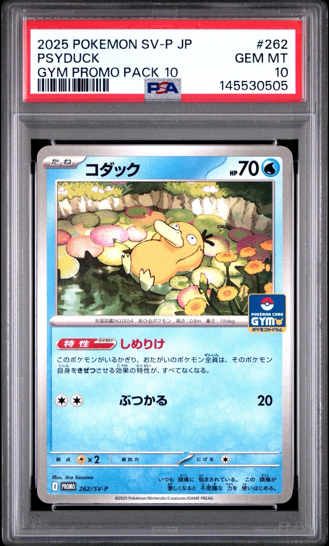 コダック P [SV-P 262](プロモカードパック「第10弾」)