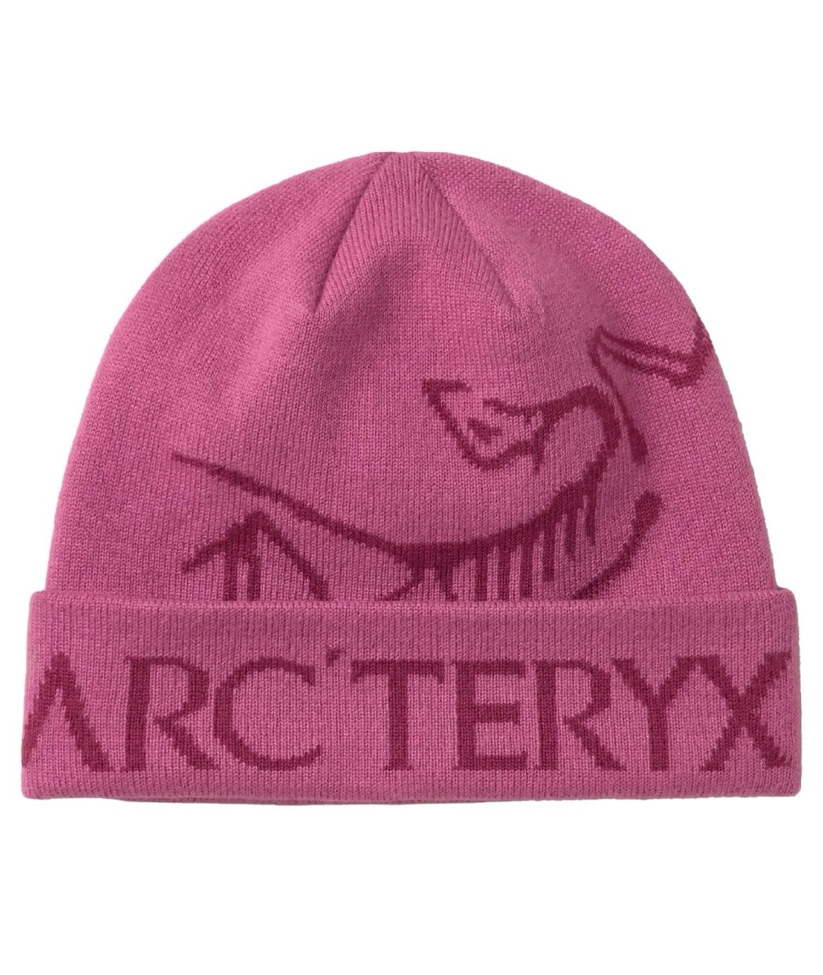 ARC'TERYX Bird Head Toque "Orca"