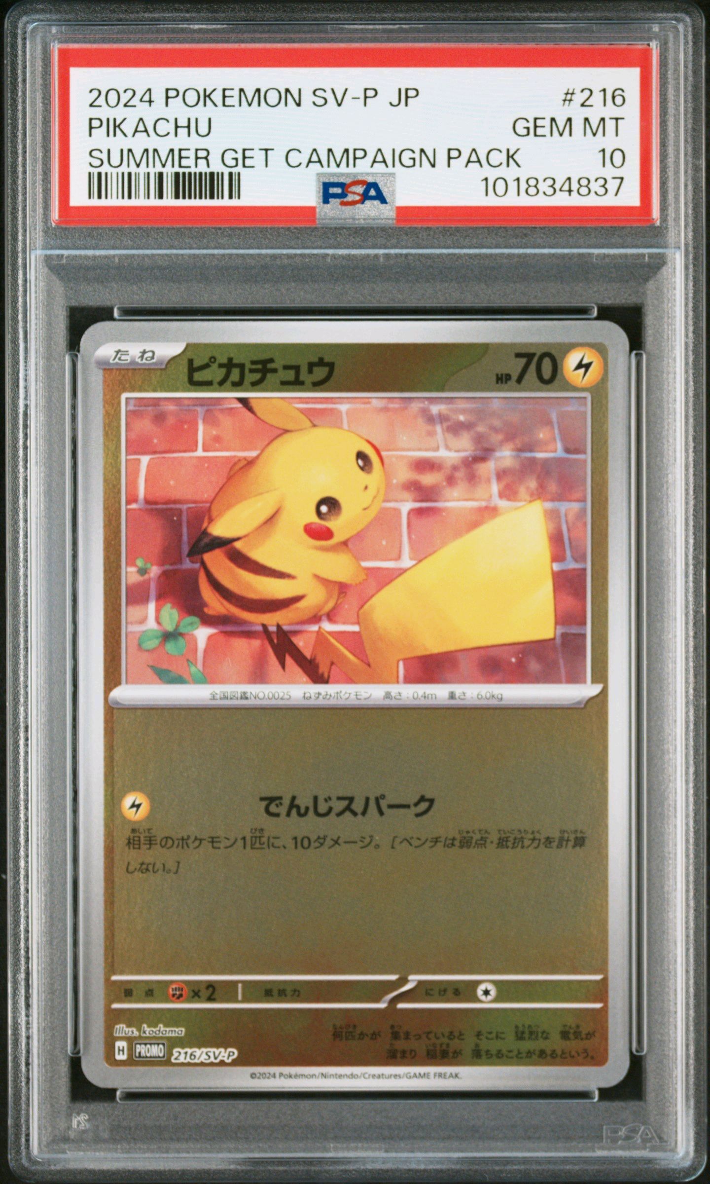 ピカチュウ P [SV-P 216](プロモカードパック「ポケカの夏がキタ!プロモカードGetキャンペーン!」)