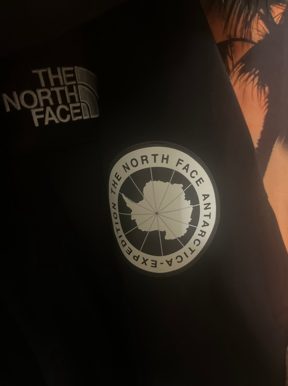 The North Face Antarctica Parka "Black"