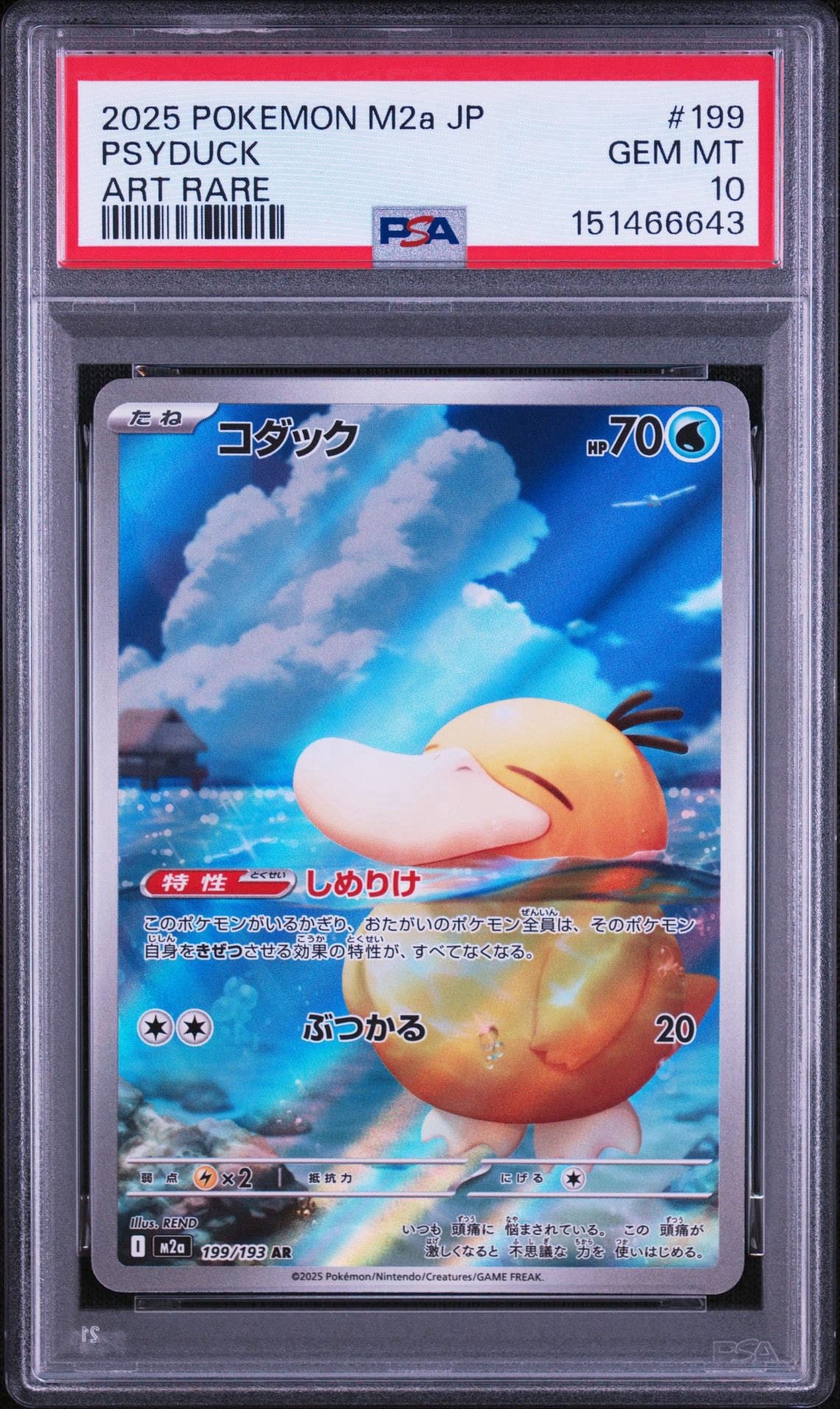 コダック AR [M2a 199/193](ハイクラスパック「MEGAドリームex」)通販