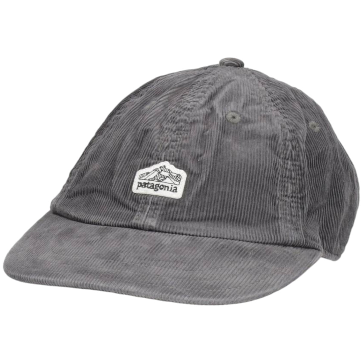 古着 パタゴニア Patagonia 33535FA21 コーデュロイキャップ フリーサイズ相当/gaa007022