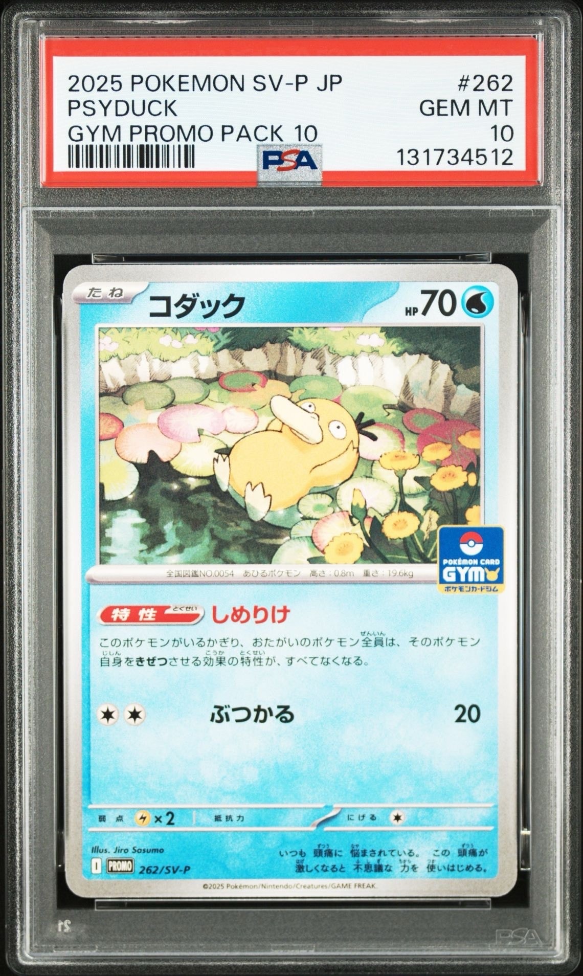 コダック P [SV-P 262](プロモカードパック「第10弾」)