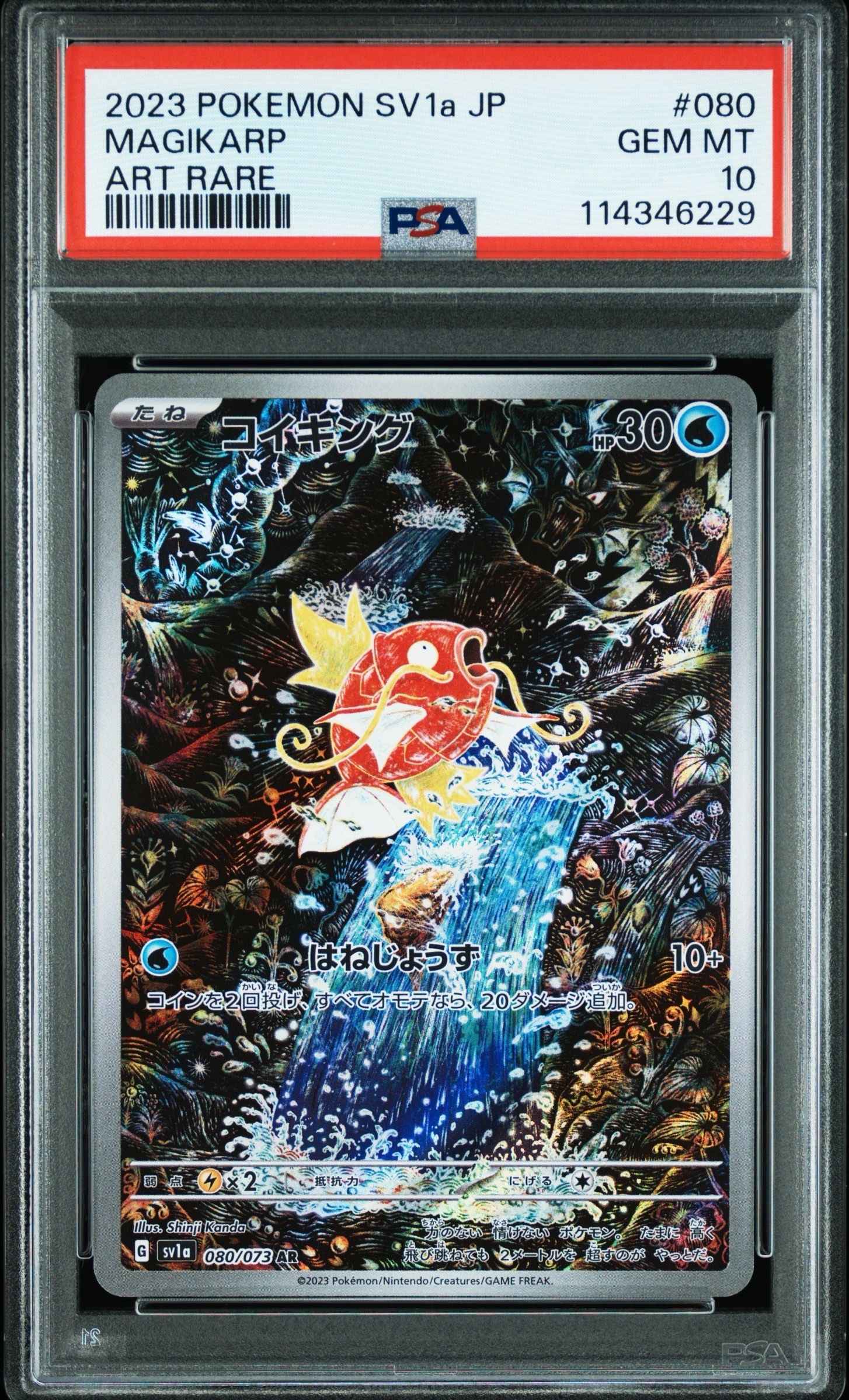 コイキング AR[SV1a 080/073](スカーレット&バイオレット 拡張パック「トリプレットビート」)