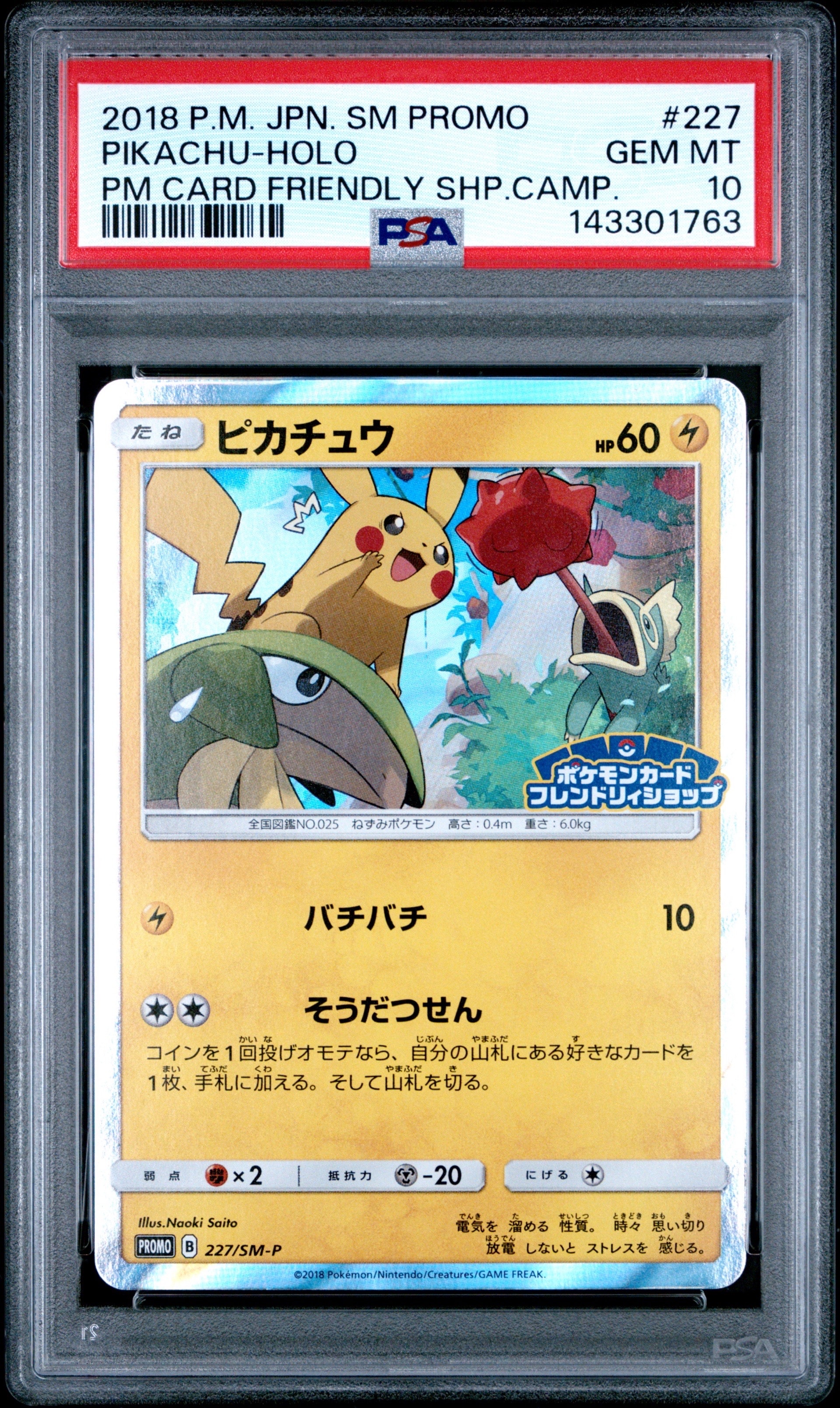 【フレンドリィショップ】　ピカチュウ　２枚組　【プロモカード】 ポケモンカード ピカチュウ フレンドリィショッププロモ 227/SM-P