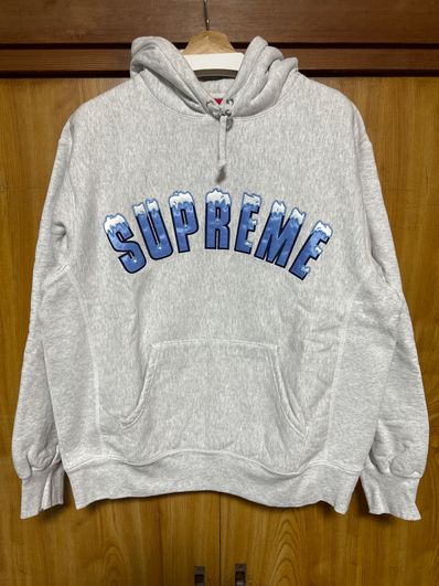 Supreme Icy Arc Hooded Sweatshirt "Ash Grey"