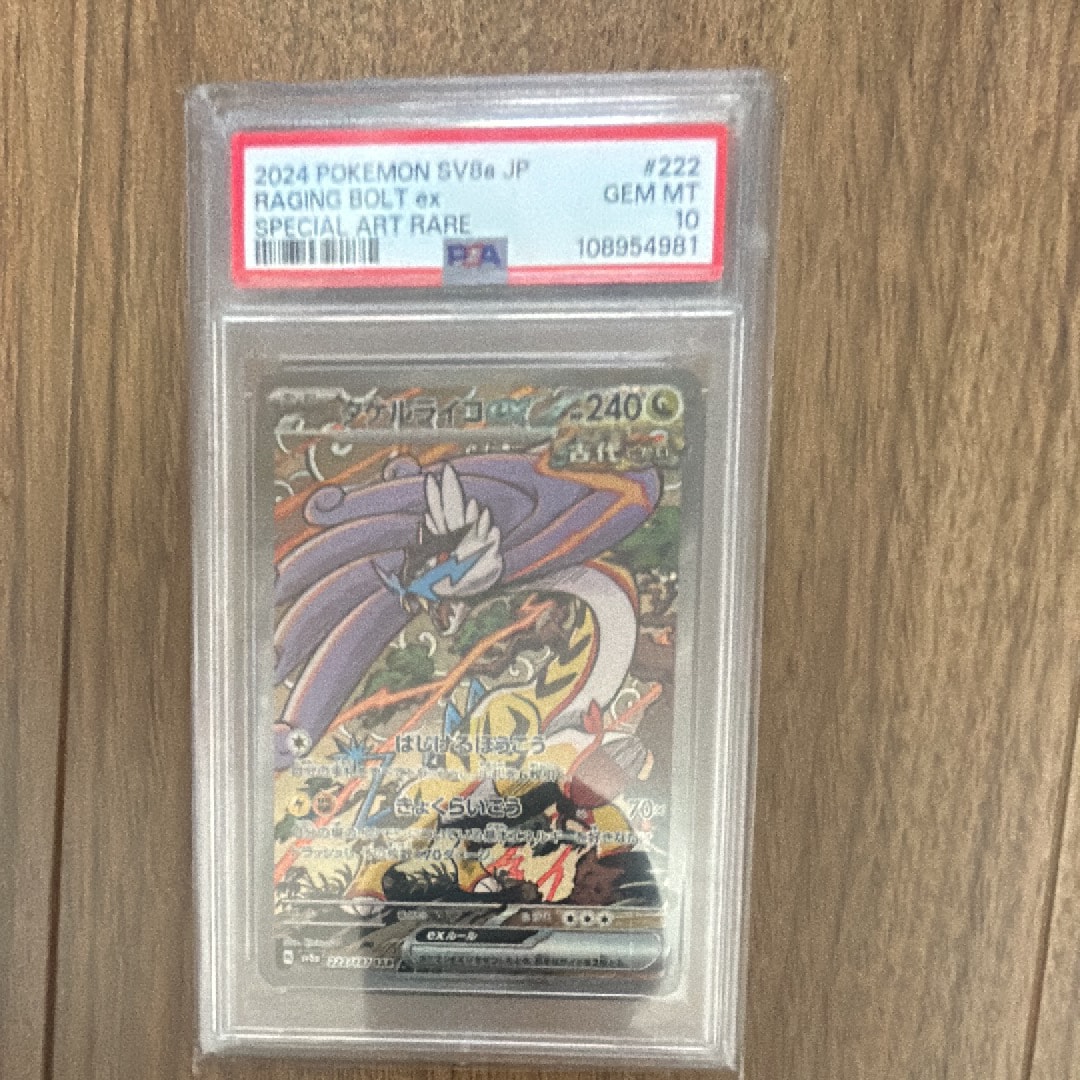 タケルライコex SAR [SV8a 222/187](ハイクラスパック「テラスタルフェスex」)