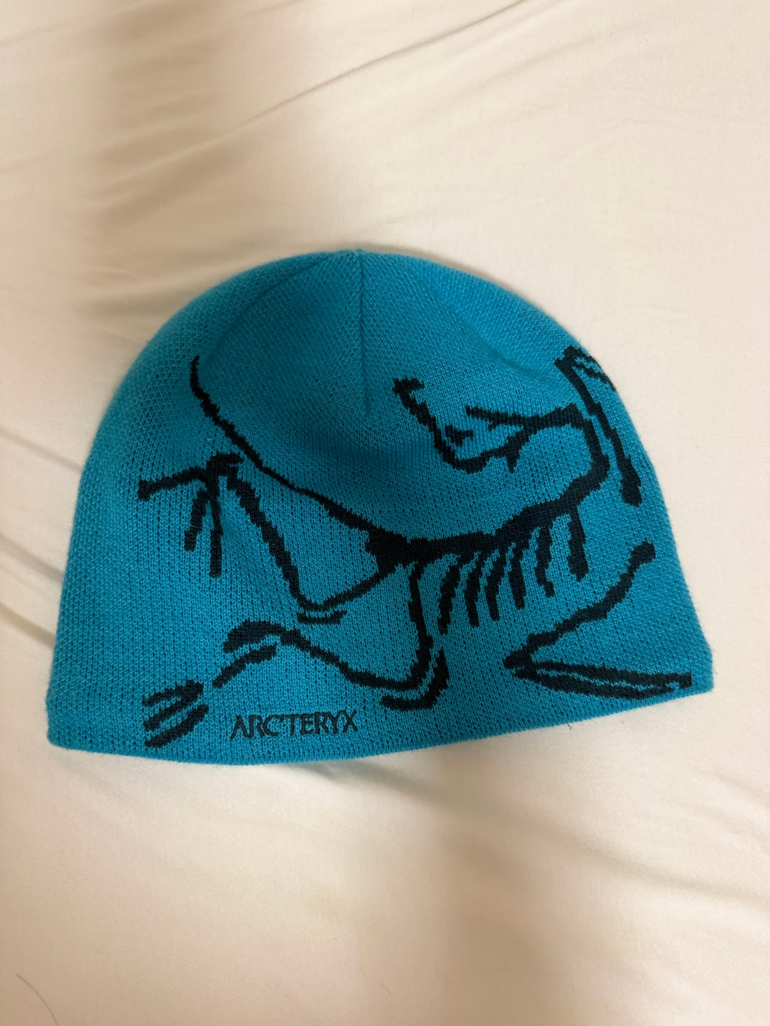 ARC'TERYX Bird Head Toque "Blue Tetra/Pytheas" X000006756