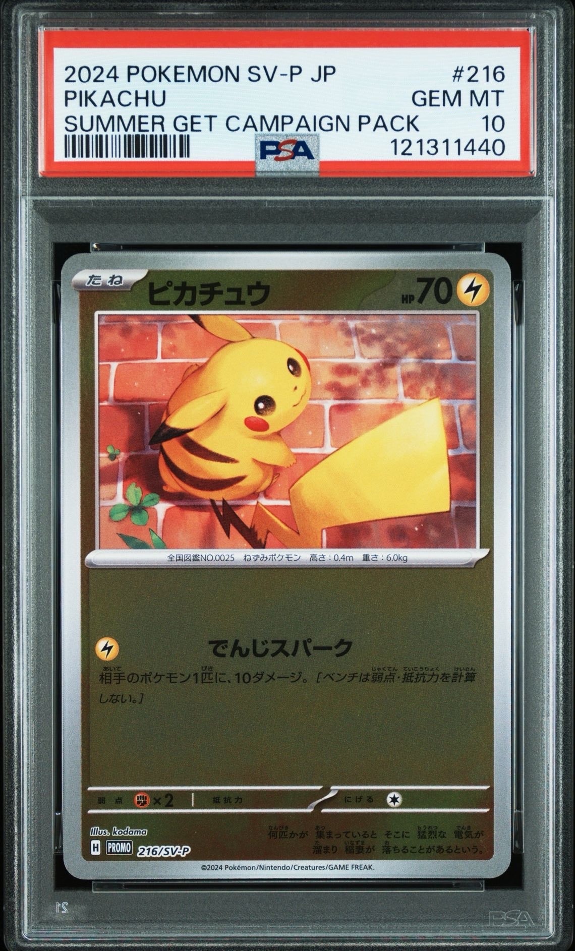 ピカチュウ P [SV-P 216](プロモカードパック「ポケカの夏がキタ!プロモカードGetキャンペーン!」)