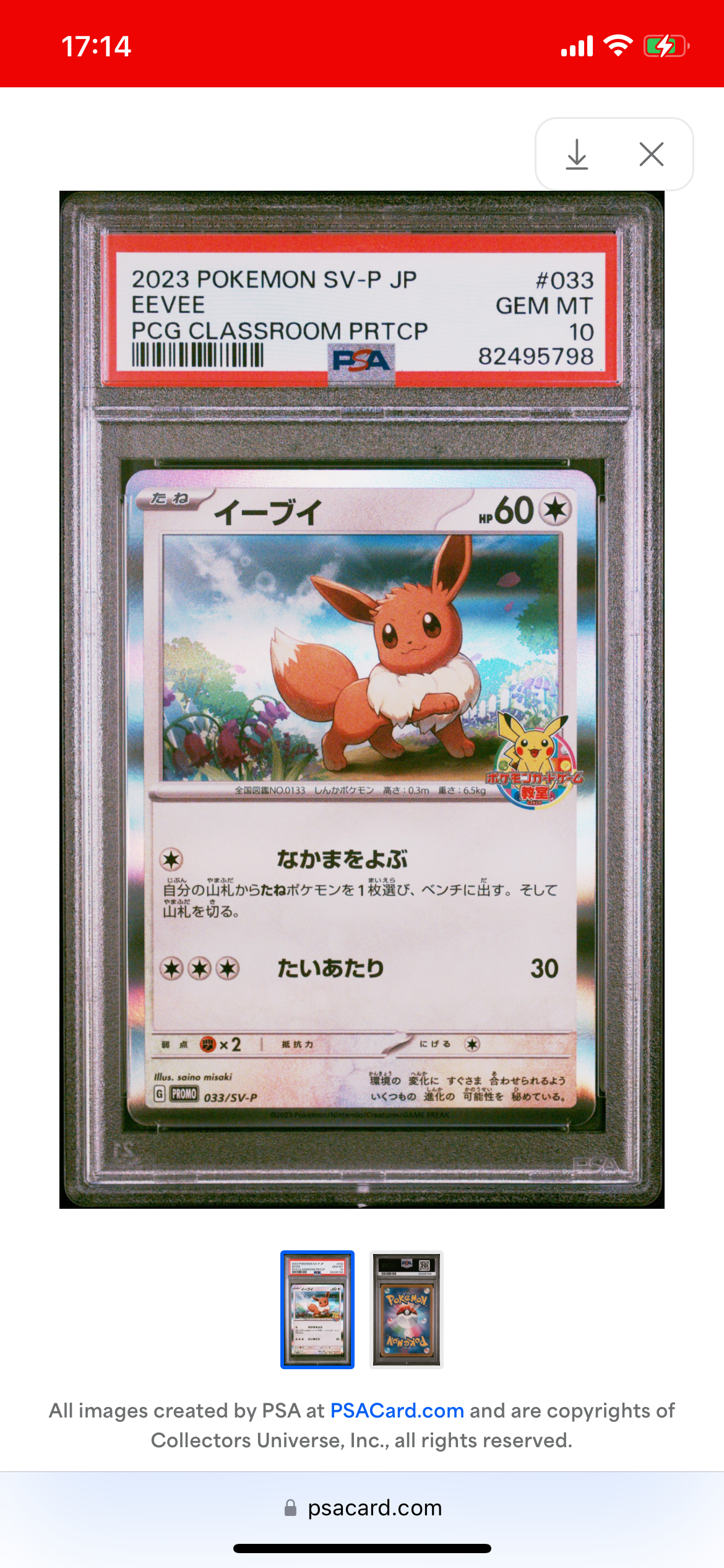 イーブイ: プロモ [SV-P 033](「 ポケモンカードゲーム教室」プロモーションカード「SV-P」)