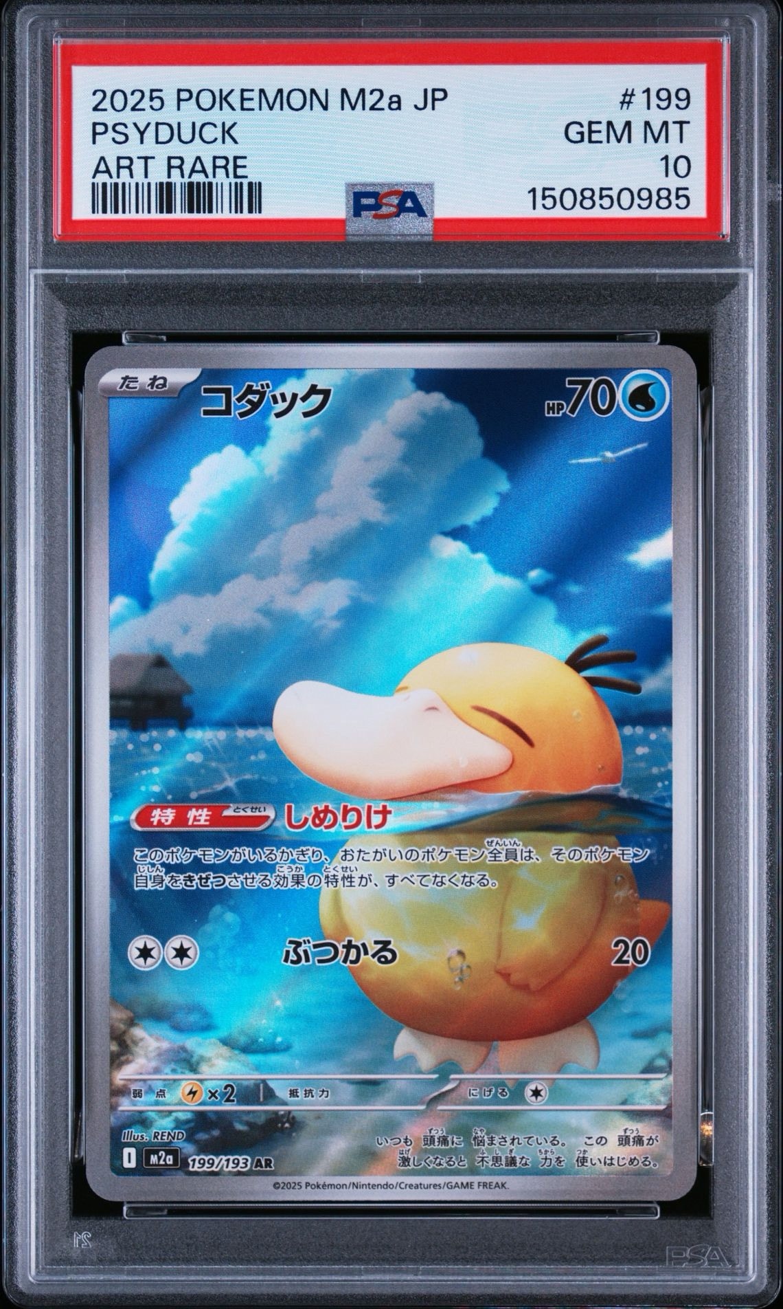 コダック AR [M2a 199/193](ハイクラスパック「MEGAドリームex」)