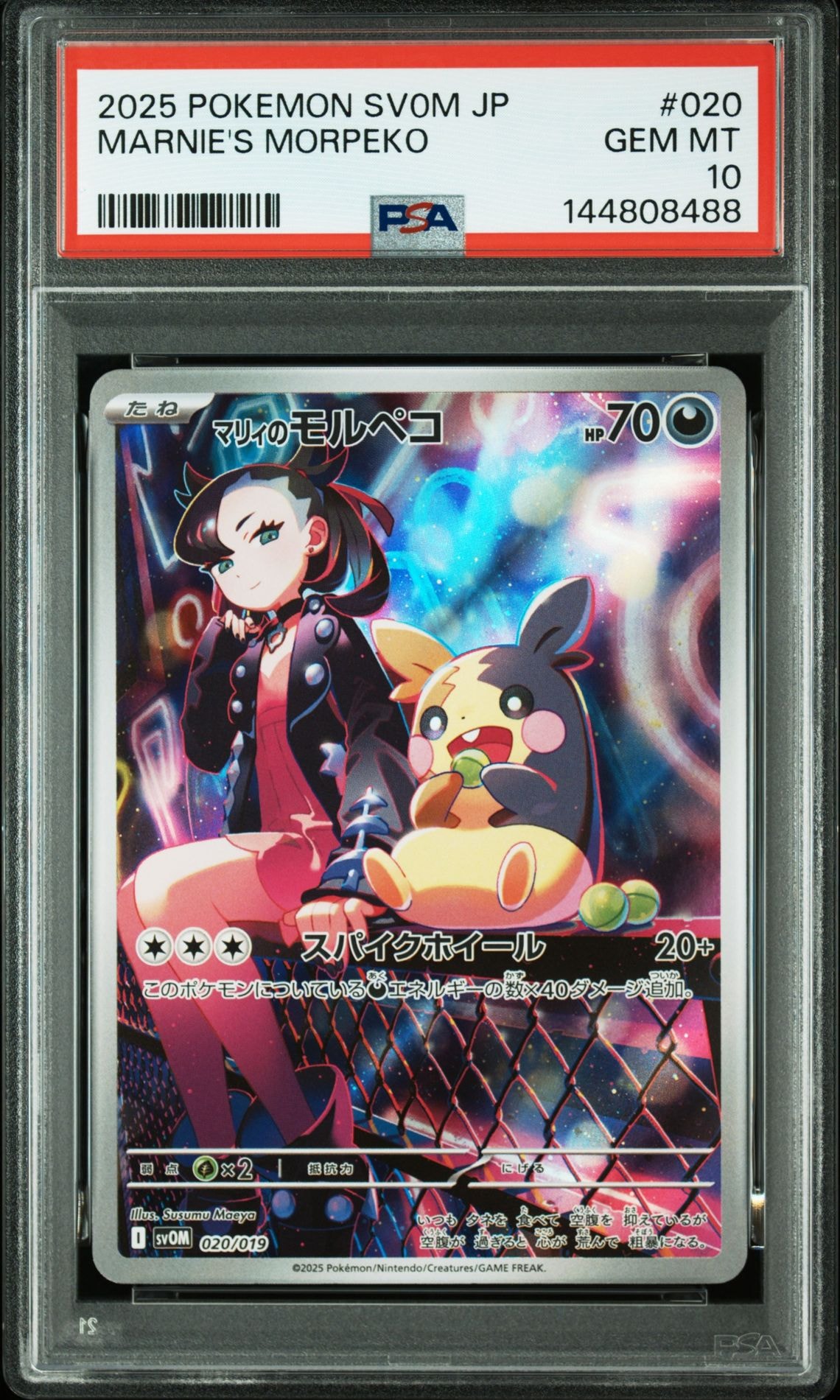 PSA10】マリィのモルペコ [SVOM 020/019](スターターセットex「マリィ