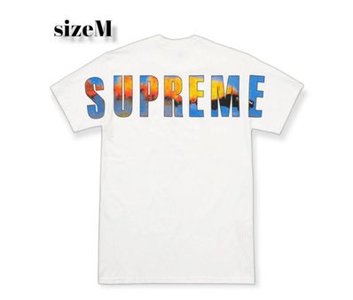 Supreme Crash Tee "White"