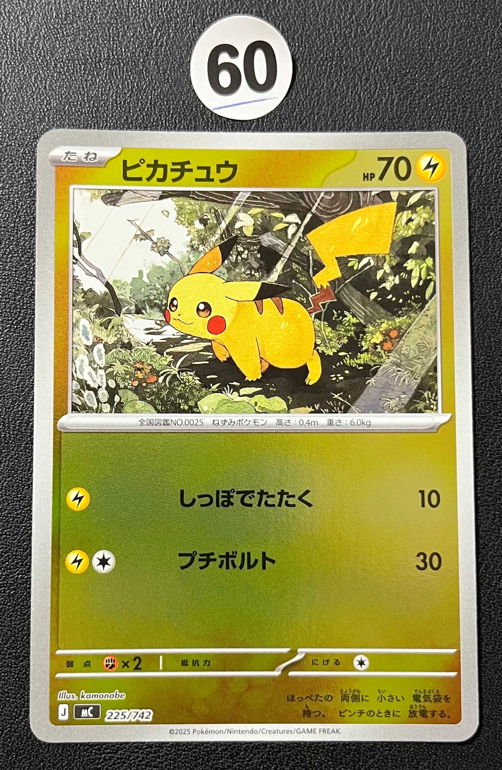 ハクリュー AR[SV2a 182/165](強化拡張パック「ポケモンカード151」)の