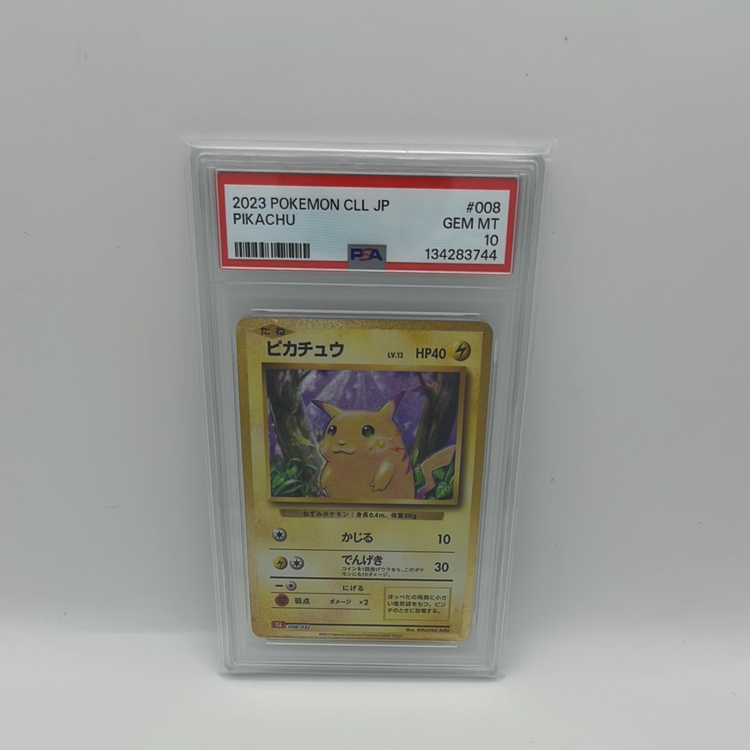 センパイとコウハイ SR :1ED [XY5-G 077/070](拡張パック「ガイア