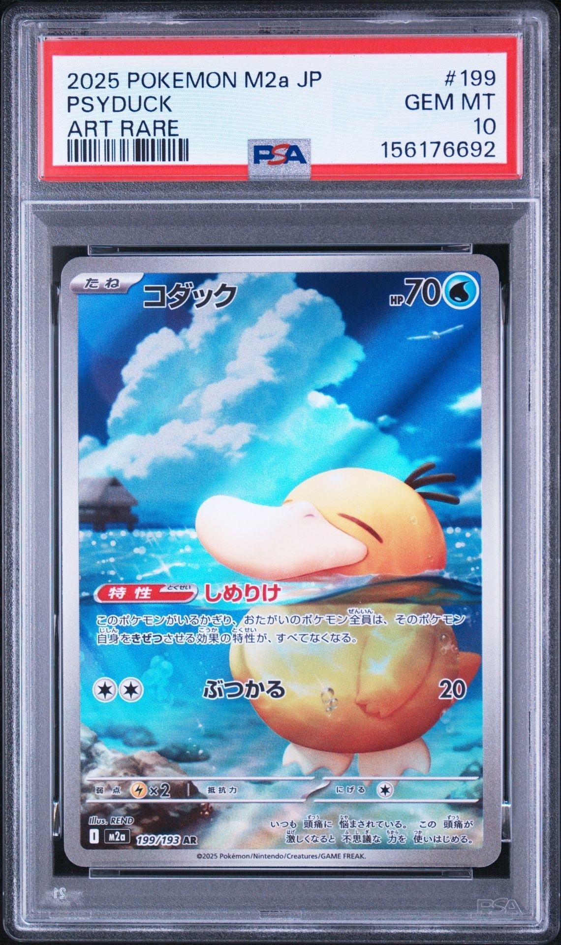 コダック AR [M2a 199/193](ハイクラスパック「MEGAドリームex」)
