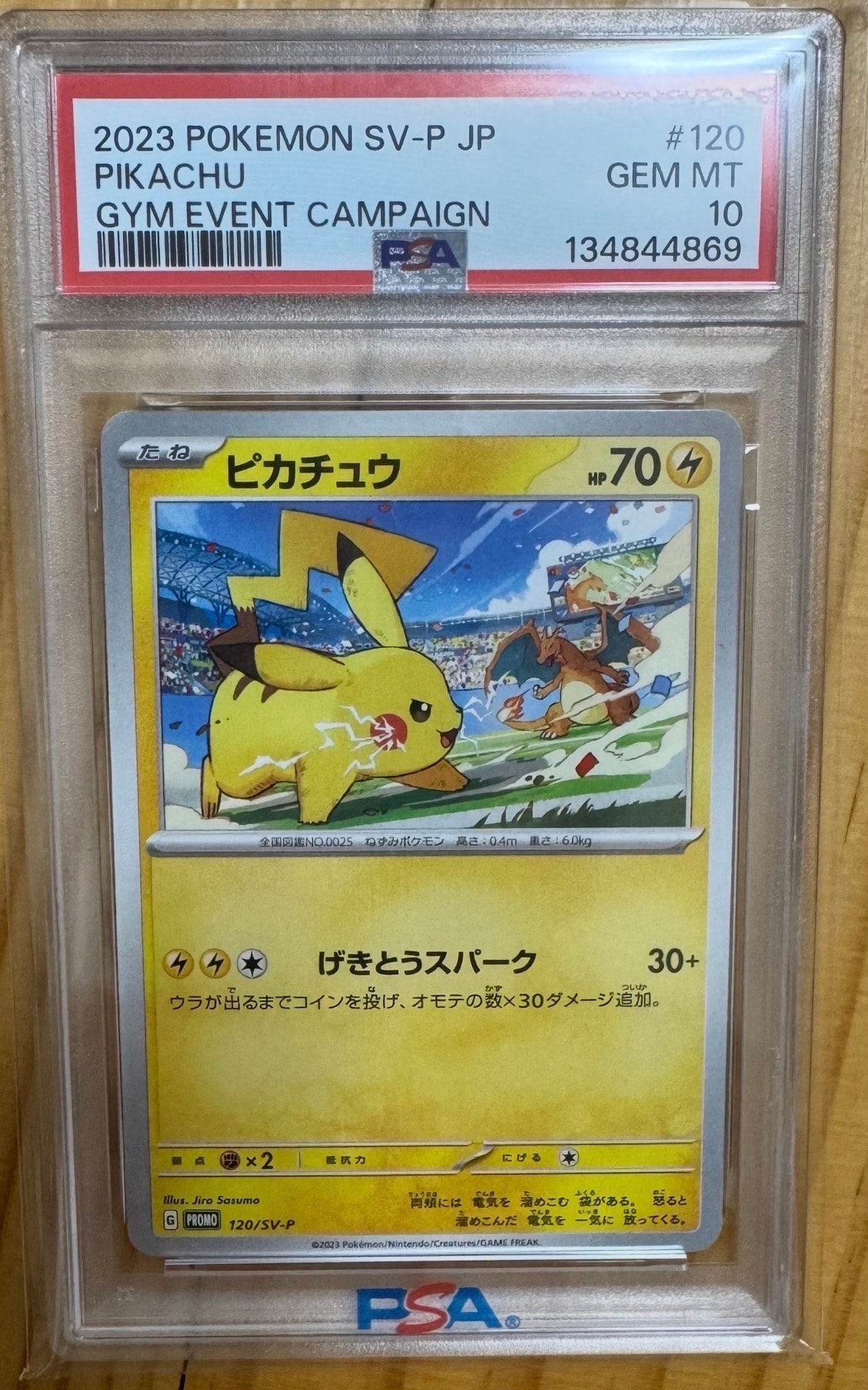 PSA10】トウホクのピカチュウ: プロモ[SM-P 088](プロモーションカード