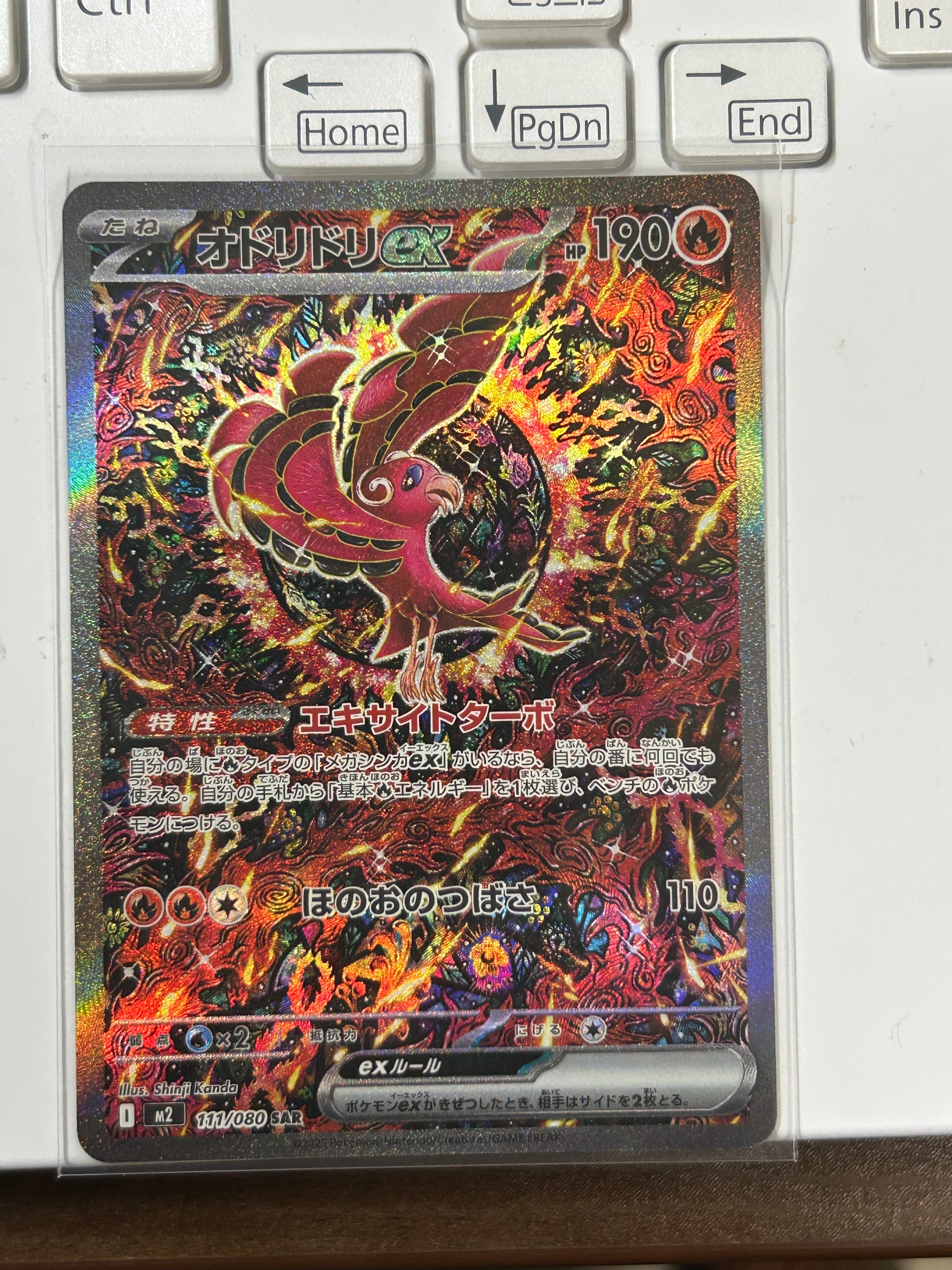 オドリドリex SAR [M2 111/080](拡張パック「インフェルノX」)