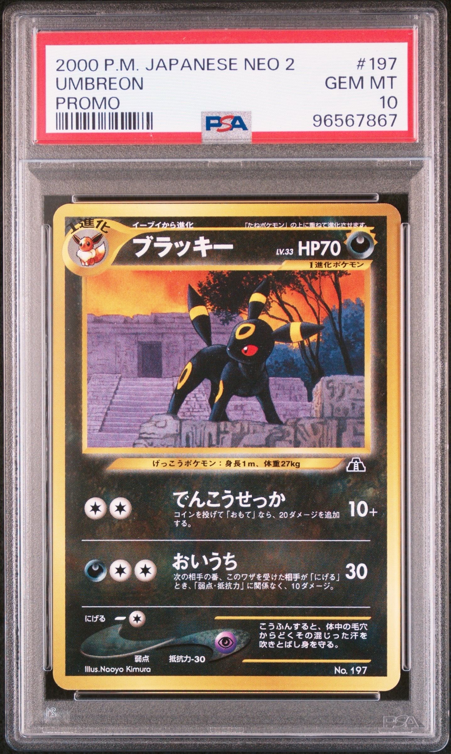 ブラッキープレミアムファイル2: 旧裏[neoP2 No.197](プレミアムファイル2)