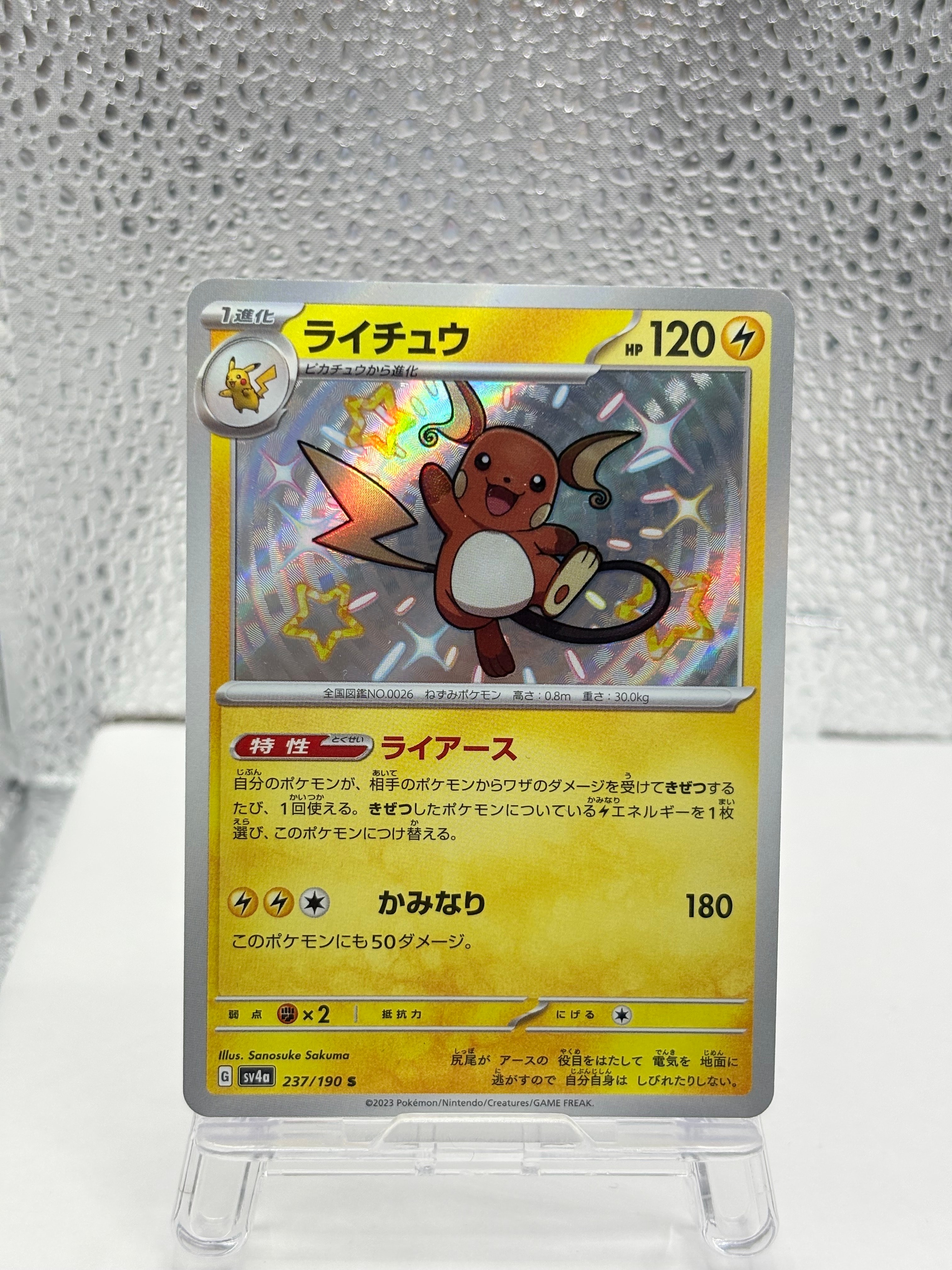 ピカチュウ: バトルフェスタ2014プロモ[XY-P 090/XY-P](プロモーション