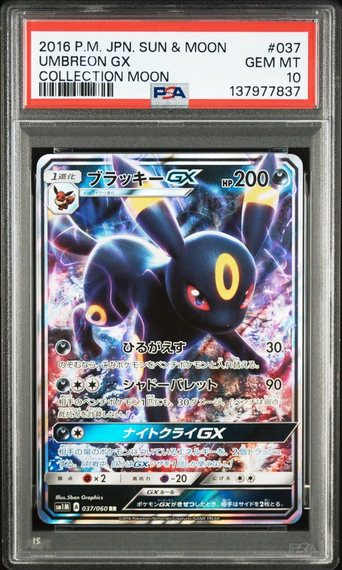 PSA10】ブラッキーGX RR[SM1M 037/060](拡張パック「コレクション