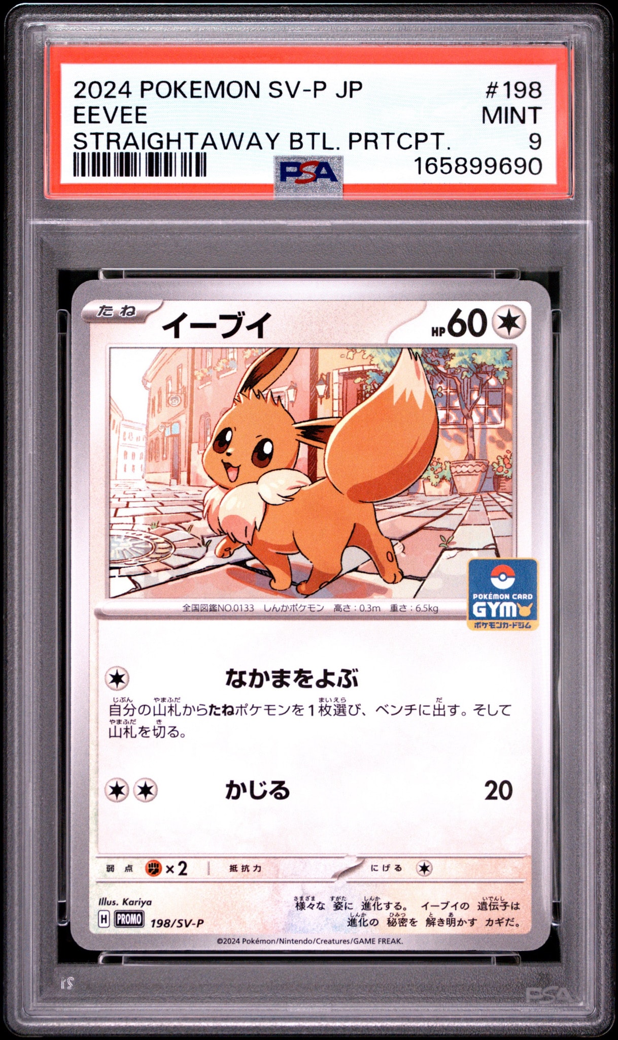 イーブイ P [SV-P 198](プロモーションカード「ポケモンカードゲーム教室 in ポケモンカードストア」)