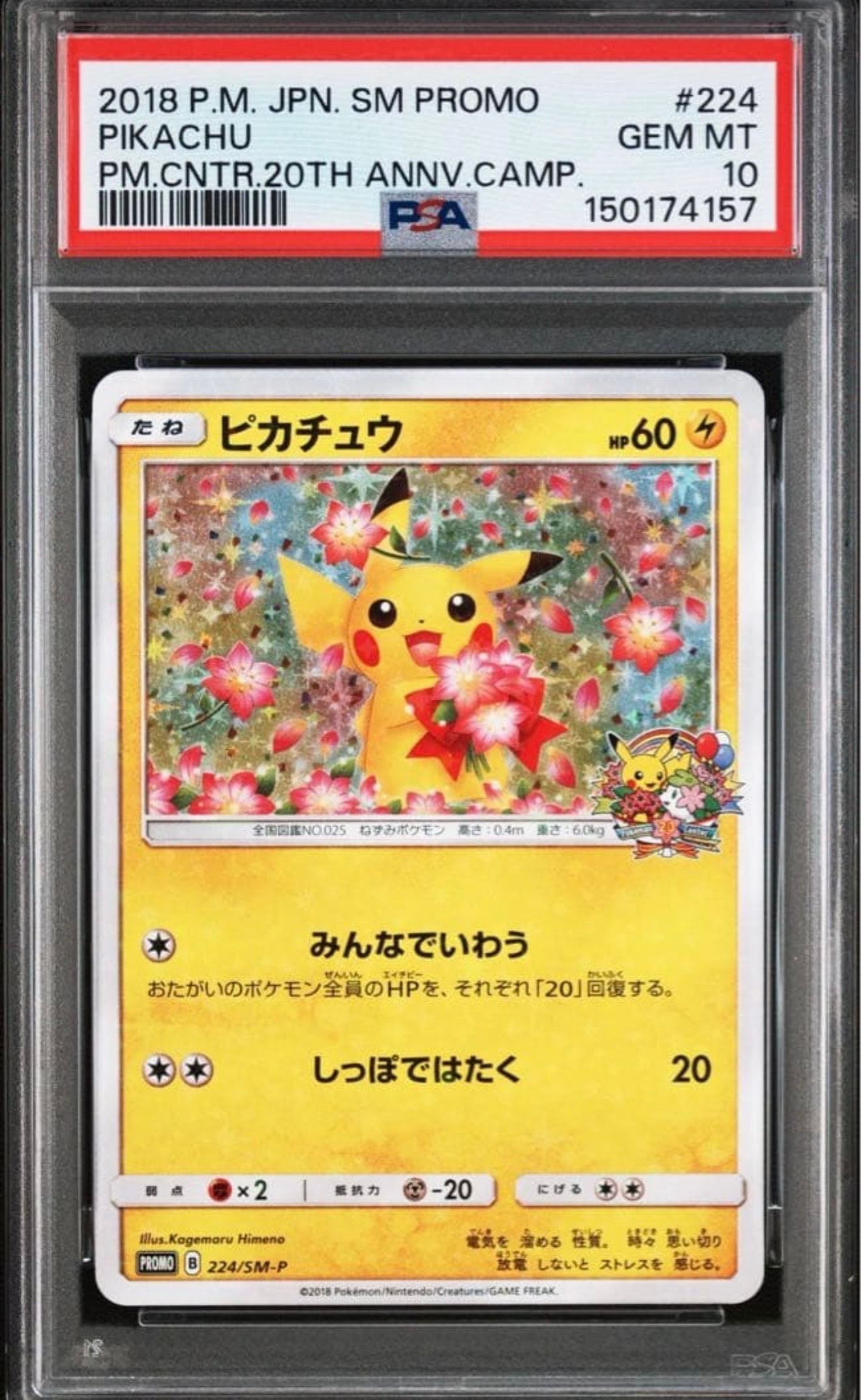 ピカチュウ: プロモ[SM-P 224](プロモーションカード「SM-P」)の新品
