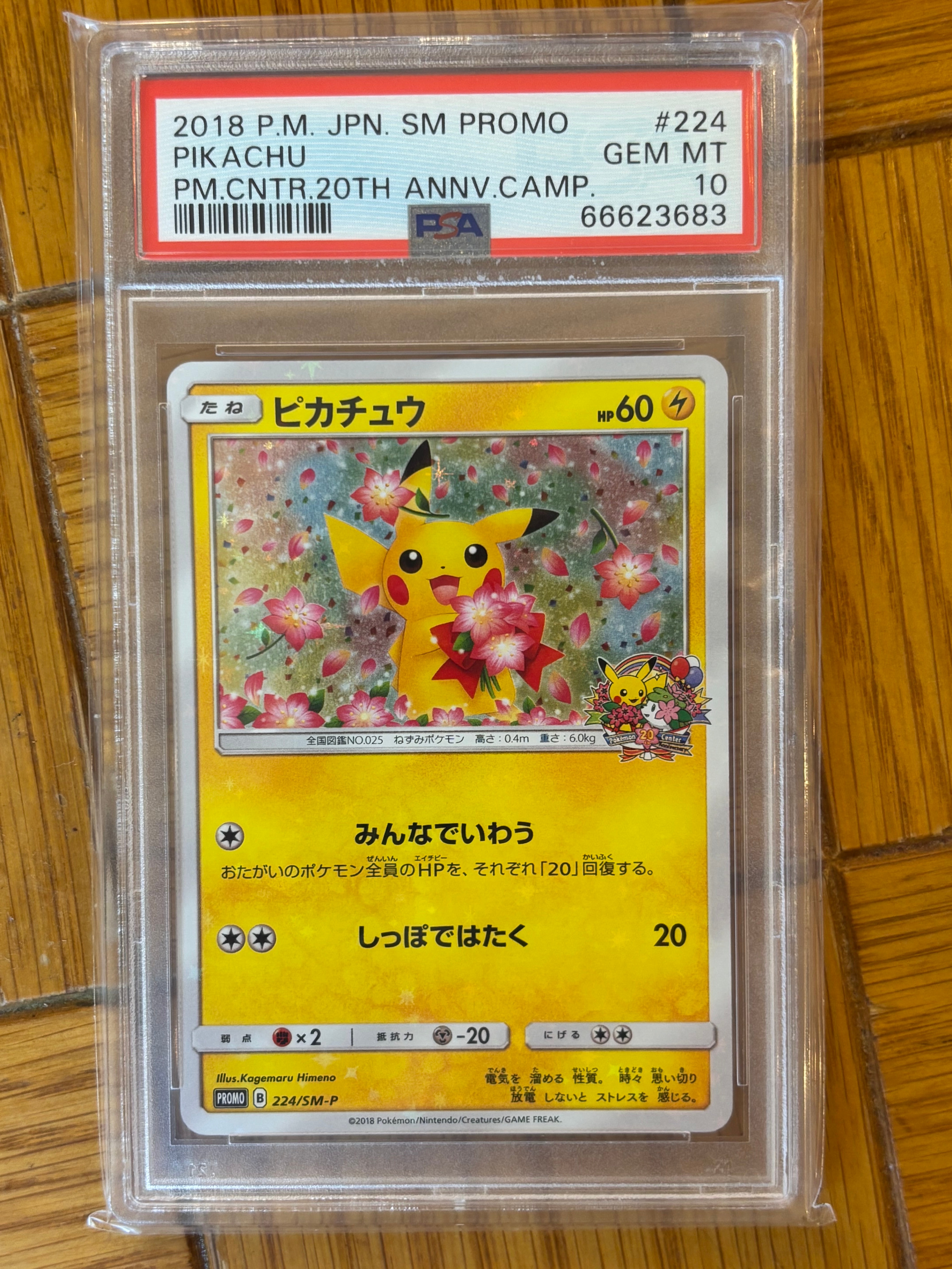 ピカチュウ: プロモ[SM-P 224](プロモーションカード「SM-P」)の新品