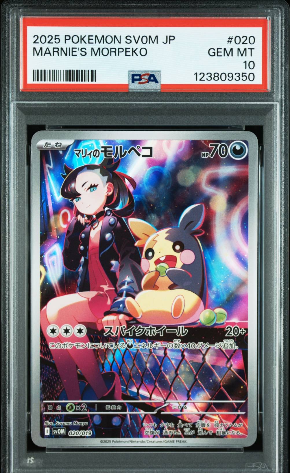 マリィのモルペコ [SVOM 020/019](スターターセットex「マリィのモルペコ＆オーロンゲex」)