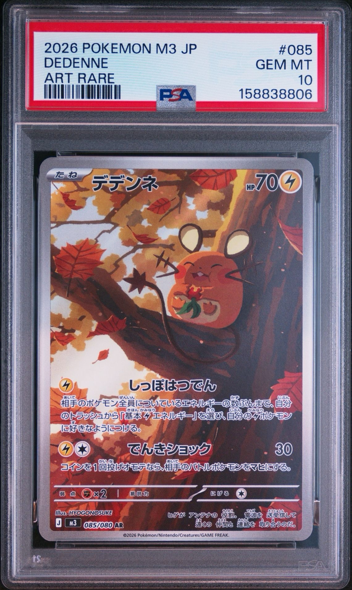 デデンネ AR [M3 085/080](拡張パック「ムニキスゼロ」)通販・買取