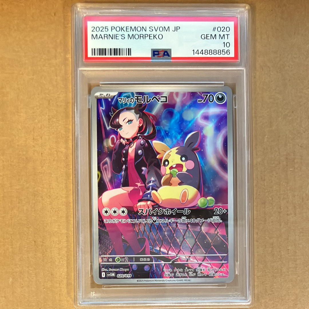 【PSA10】マリィのモルペコ AR 020/019 スターターセットex マリィのモルペコ 《AR仕様》 {020/019} [SVOM/スターターセットex