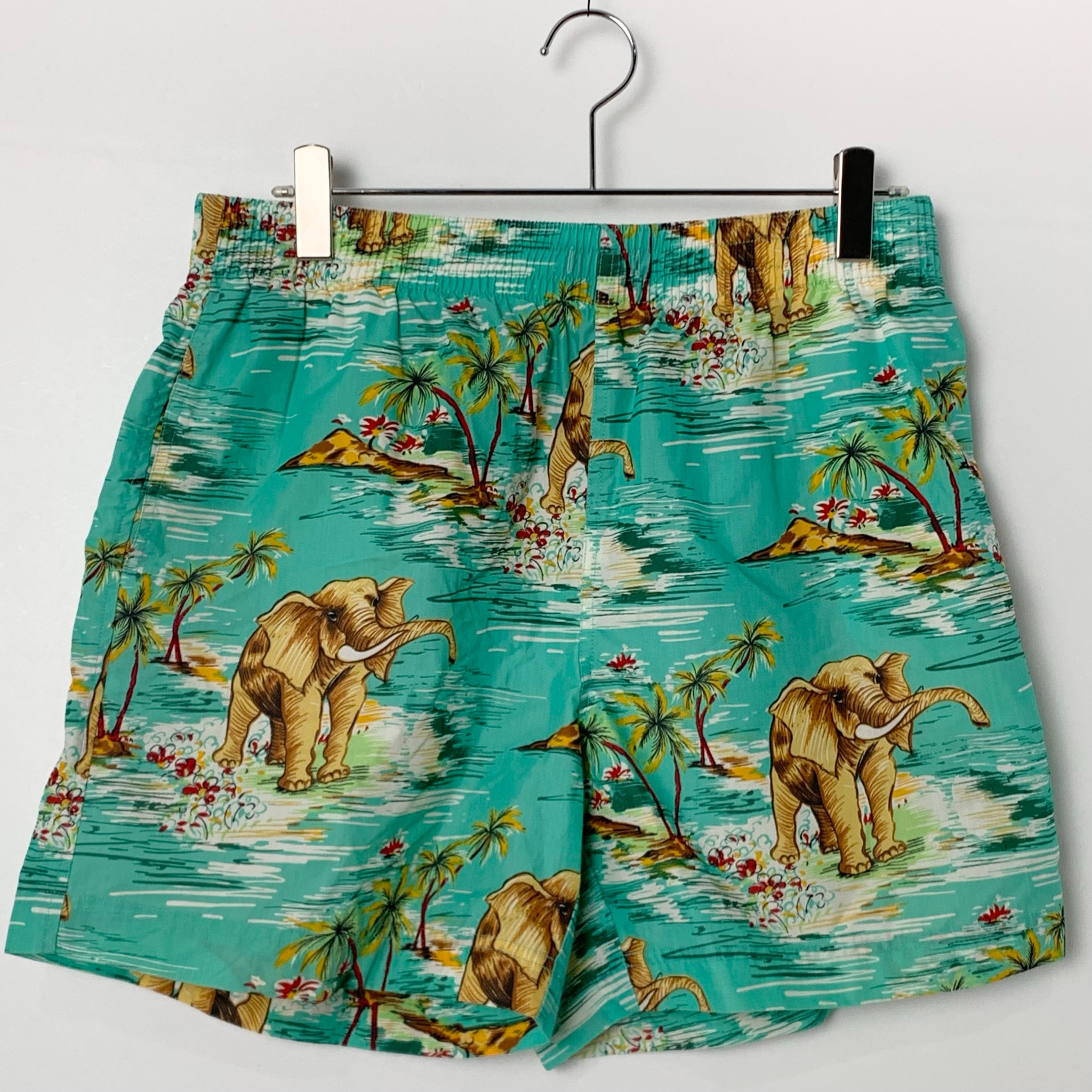 Polo Ralph Lauren swim trunks Light Blue