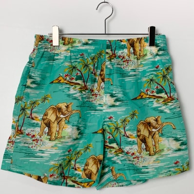 Polo Ralph Lauren swim trunks Light Blue