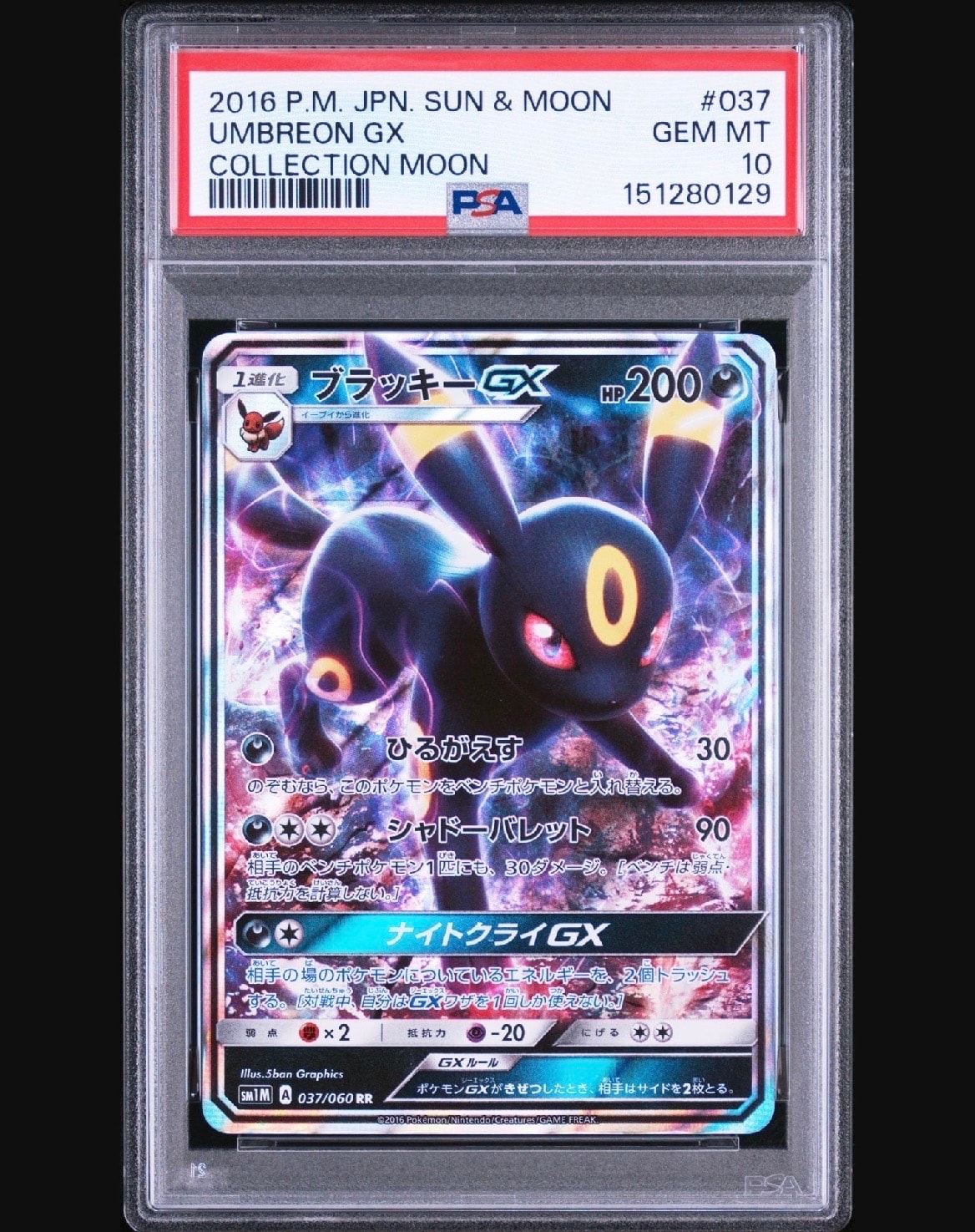 ポケモンカード ブラッキーGX コレクションムーン PSA10 PSA10】ブラッキーGX RR[SM1M 037/060](拡張パック「コレクション