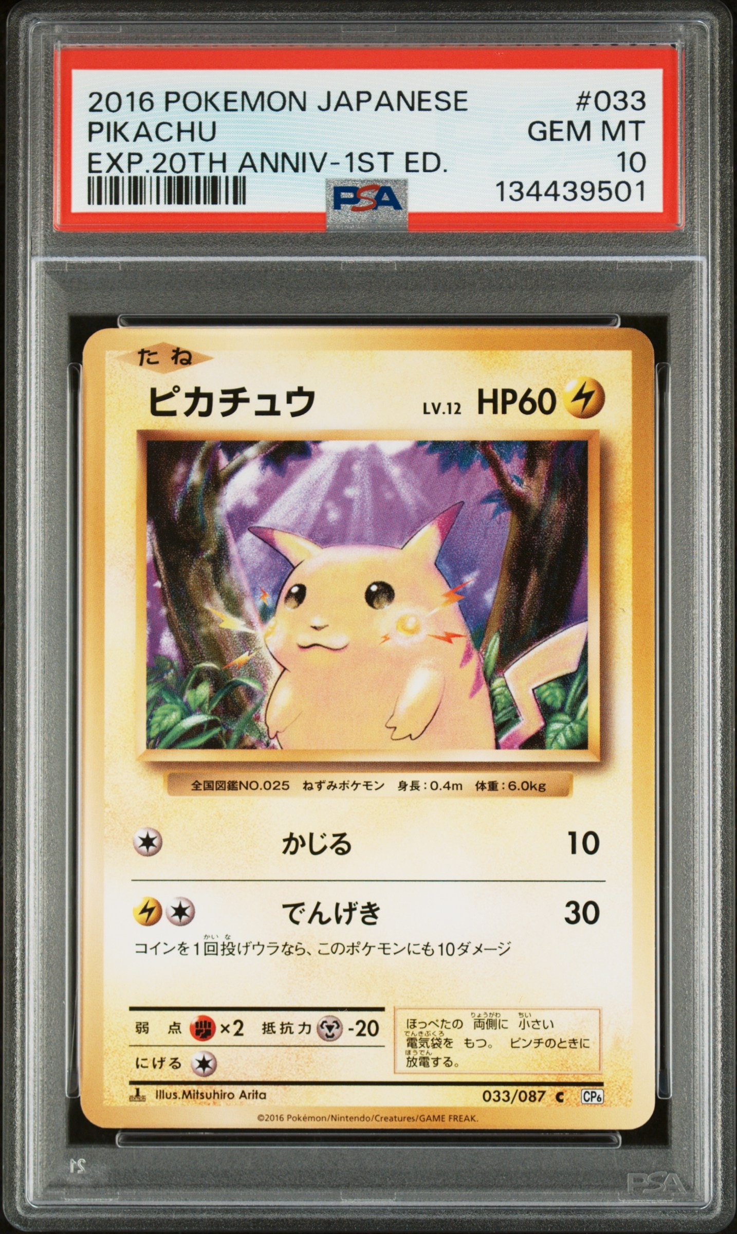 ピカチュウ C :1ED [CP6 033/087](コンセプトパック「ポケットモンスターカードゲーム 拡張パック 20th Anniversary」)