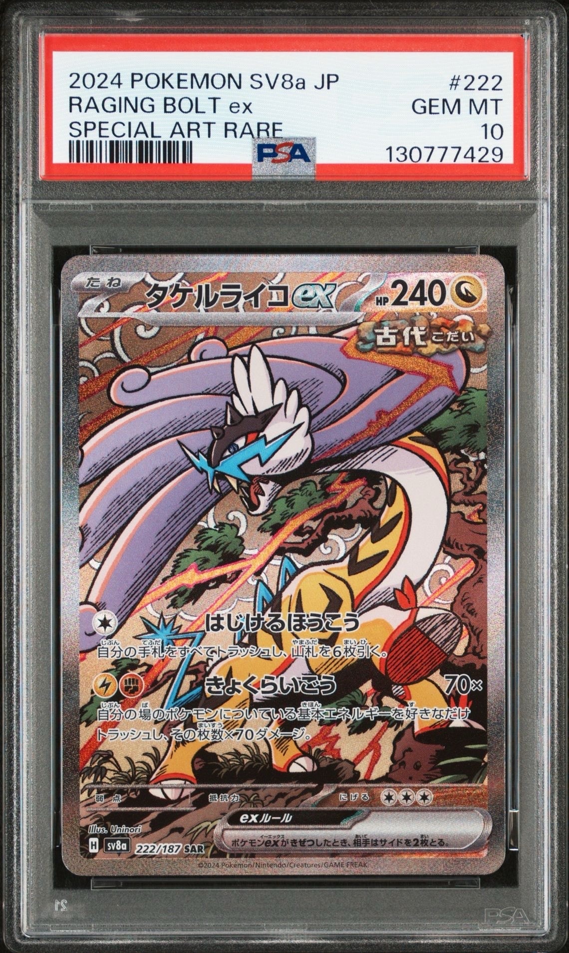 タケルライコex SAR [SV8a 222/187](ハイクラスパック「テラスタルフェスex」)