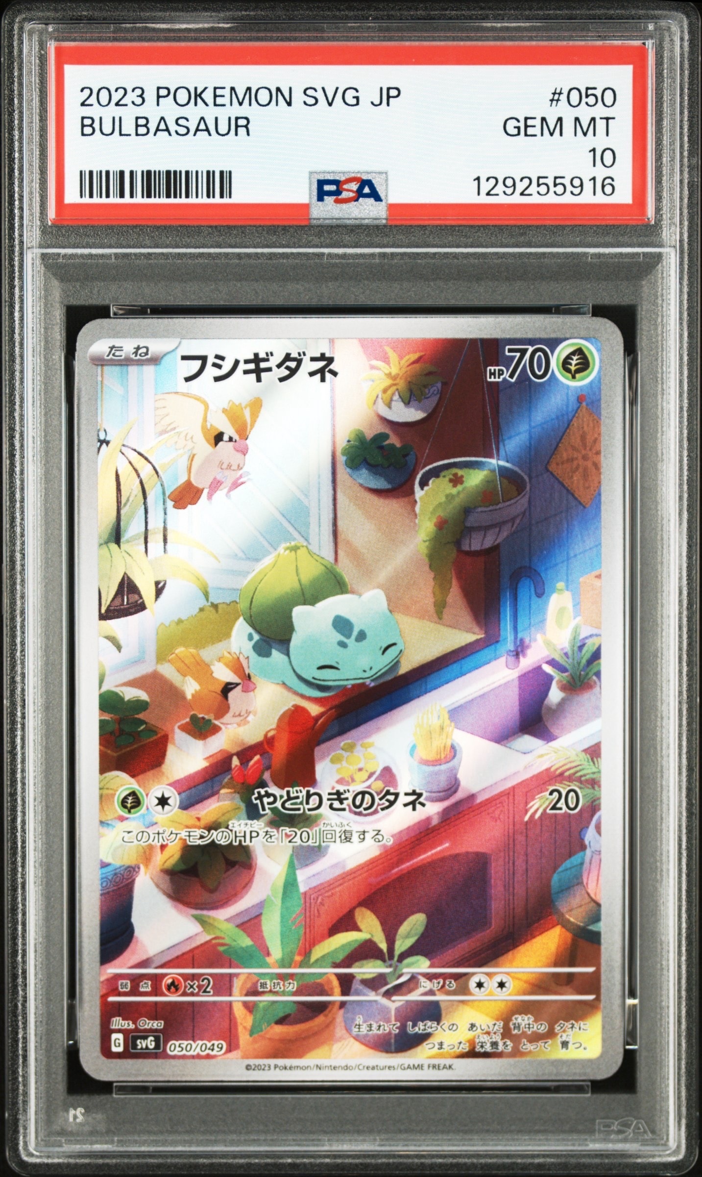 フシギダネ :フルイラスト [SVG 050/049](スペシャルデッキセットex「フシギバナ・リザードン・カメックス」)