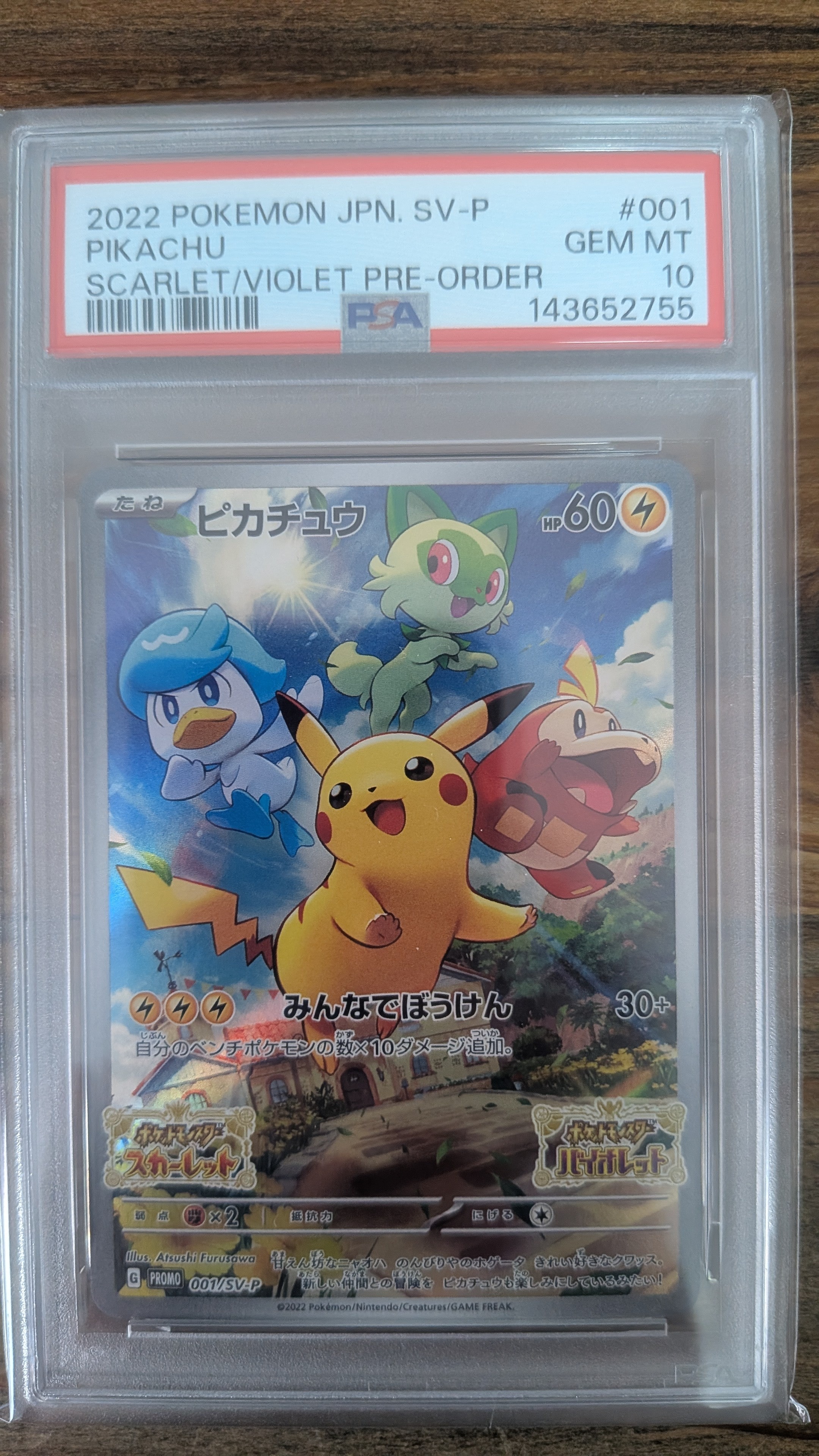 あったかピカチュウ: プロモ[XY-P 094/XY-P](プロモーションカード「XY