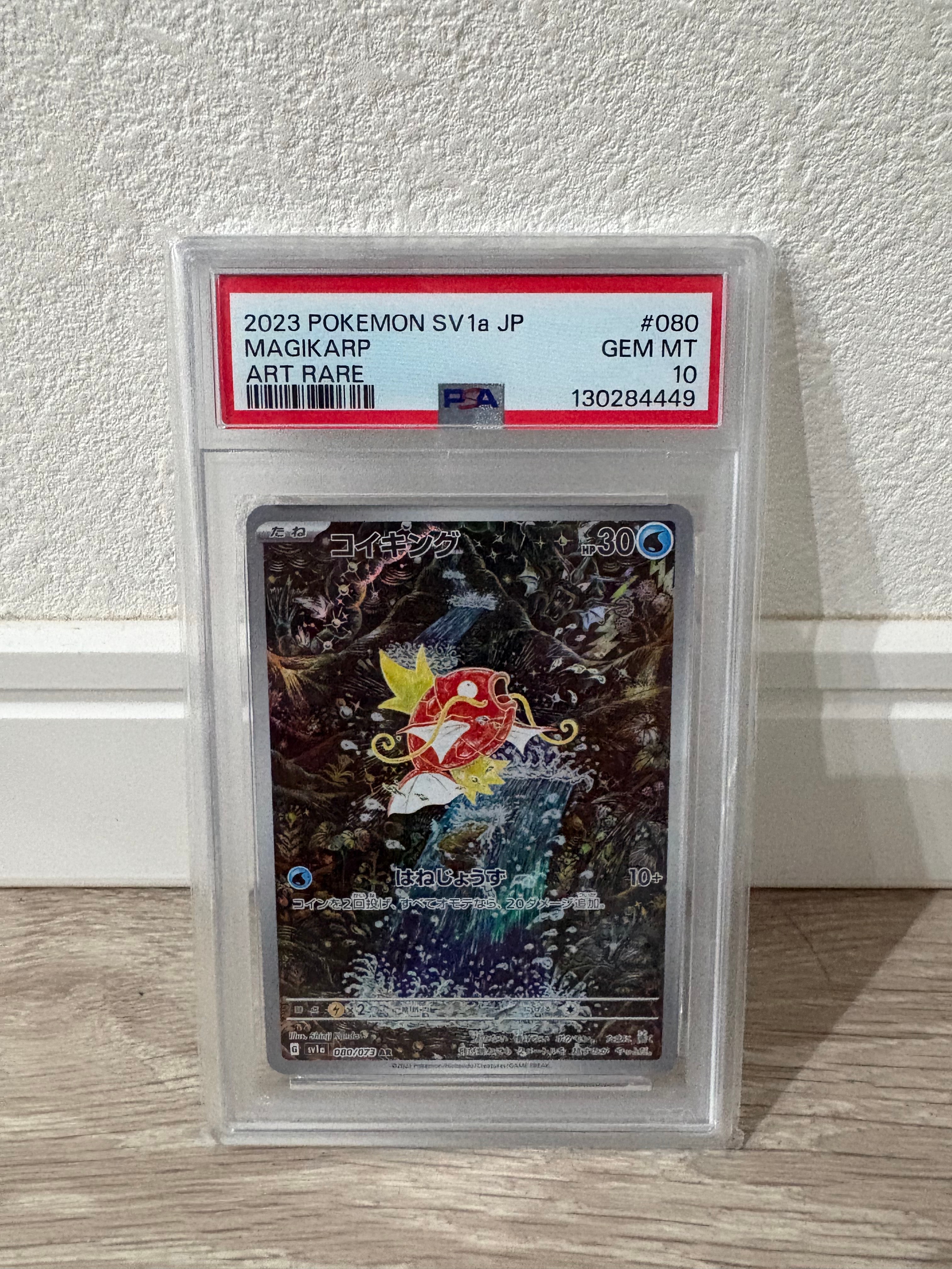 センパイとコウハイ SR :1ED [XY5-G 077/070](拡張パック「ガイア