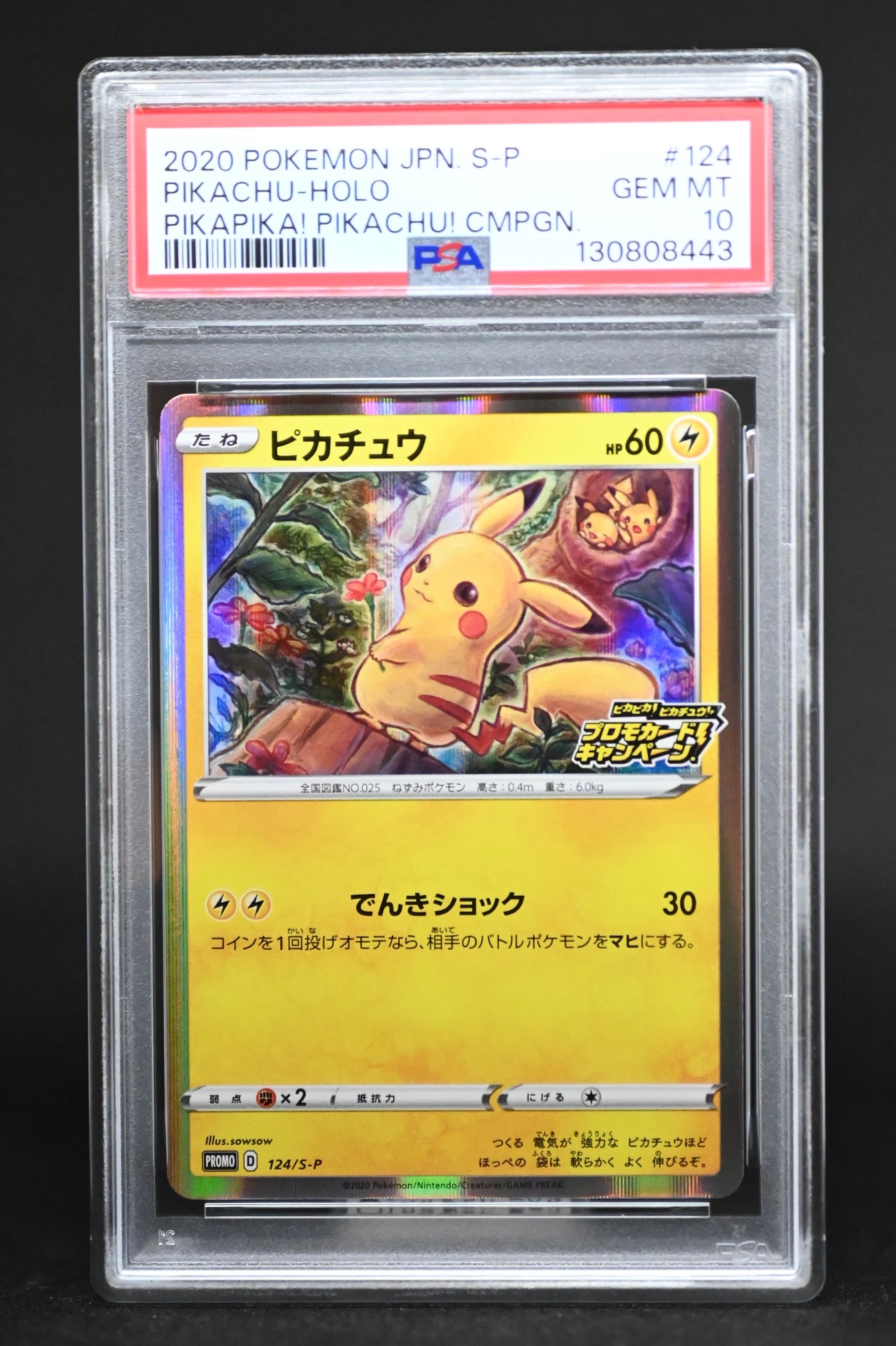 SNKRDUNK ピカチュウ PSA 10 検索 | スニーカーダンク