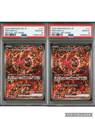 オドリドリex sar PSA10 オドリドリex SAR PSA10 インフェルノX オドリドリex sar PSA10 オドリドリex SAR PSA10 インフェルノX