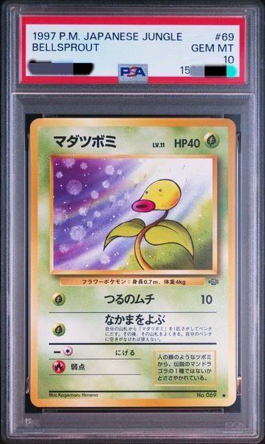 マダツボミ ○ : 旧裏 [PMCG2 No.069](拡張パック「ポケモンジャングル