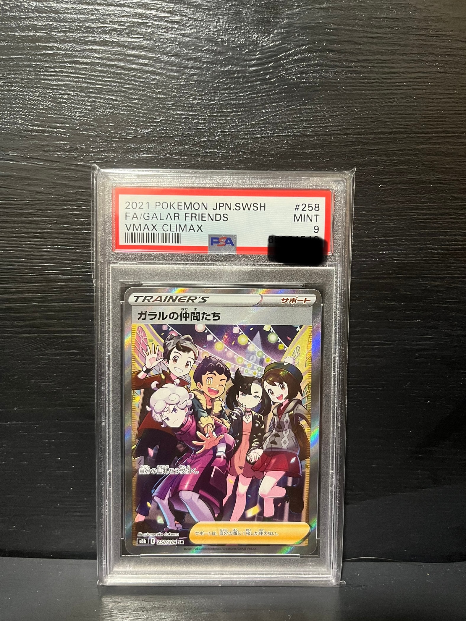 ガラルの仲間たち SR[S8b 258/184](ハイクラスパック「VMAXクライマックス」)