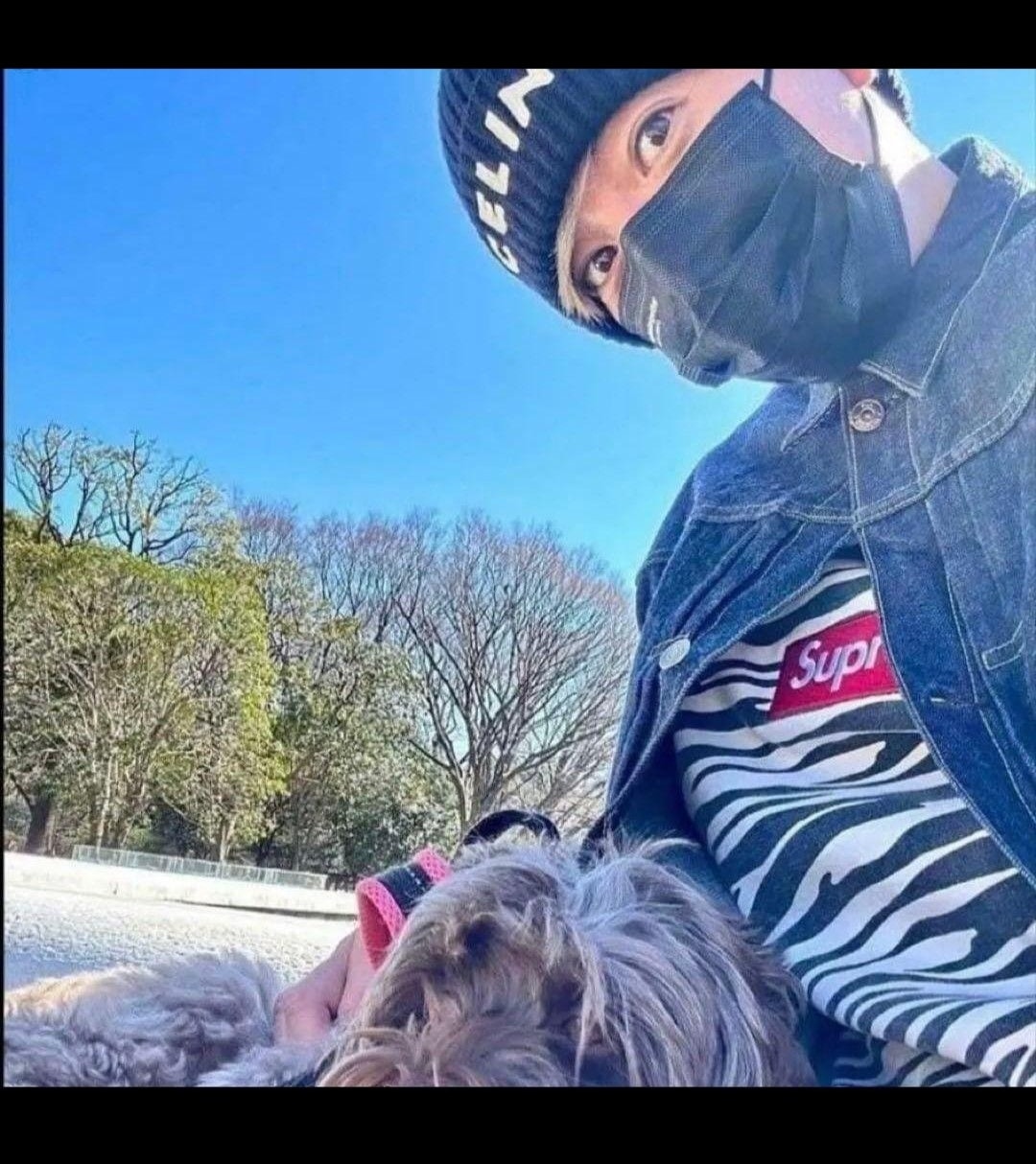 Supreme Box Logo Crewneck "Zebra" (22FW)