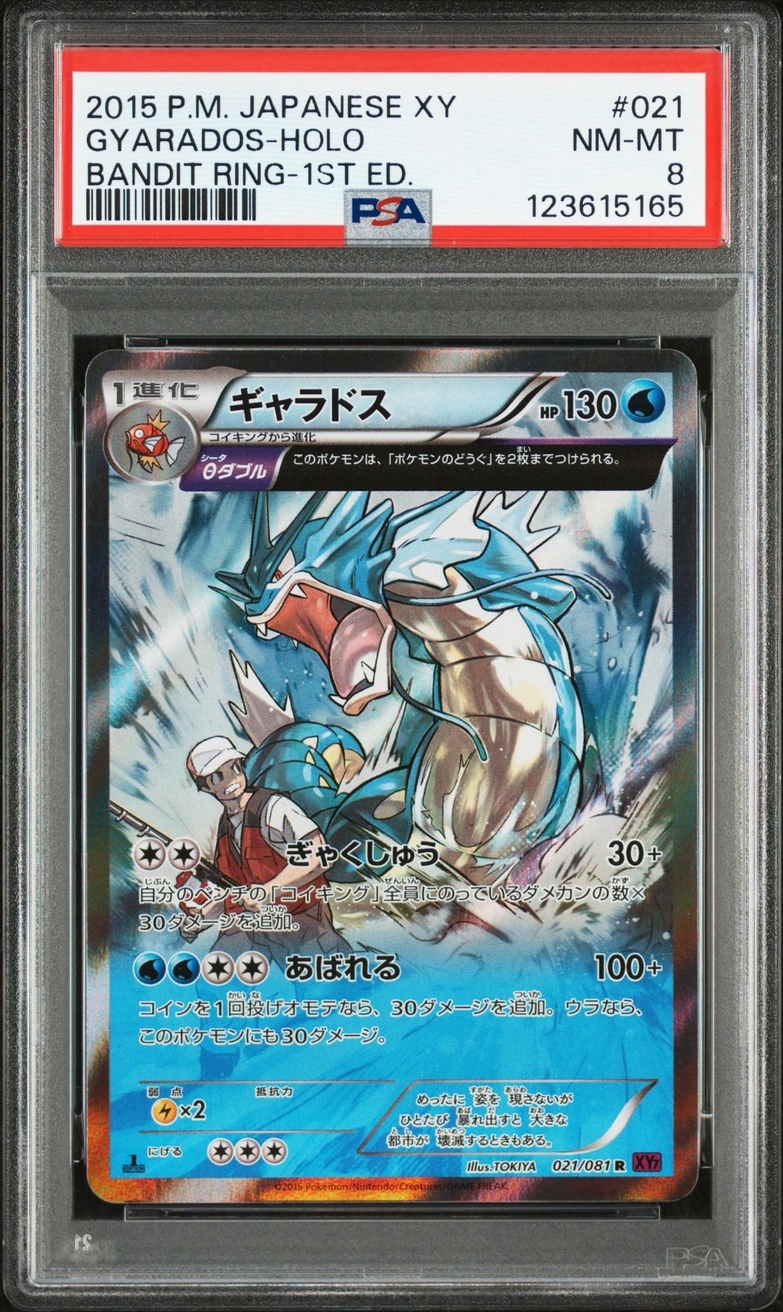 ギャラドス R :1ED [XY7 021/081](拡張パック「バンデットリング」)