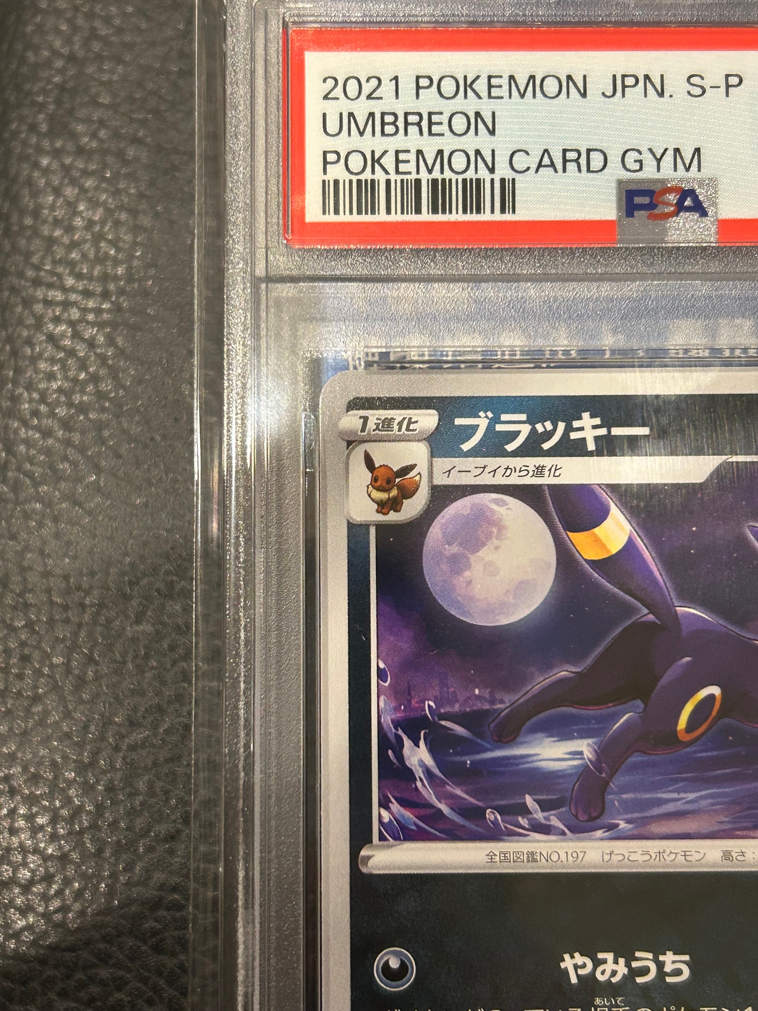PSA10】ブラッキー: プロモ P [S-P 161](ポケモンカードゲーム ソード